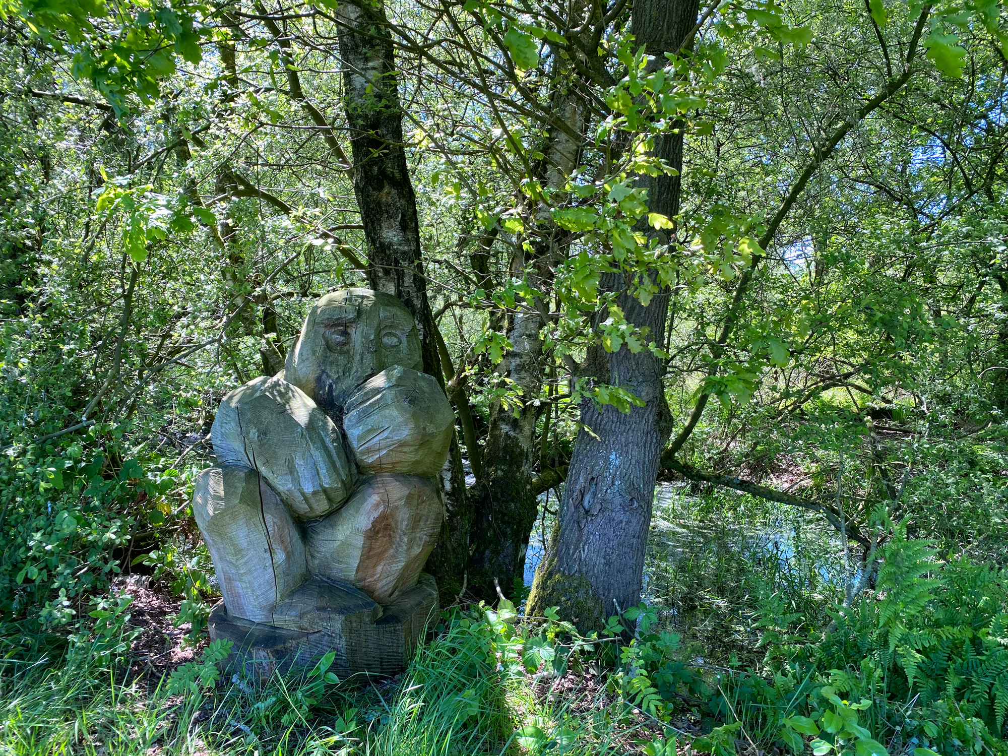 Wandelen in Noord-Brabant en Limburg: Rondje Griendtsveen