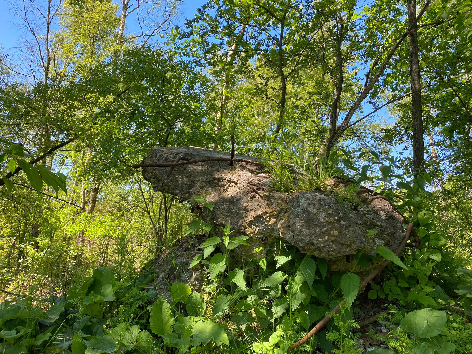 Wandelen in Noord-Brabant en Limburg: Rondje Griendtsveen