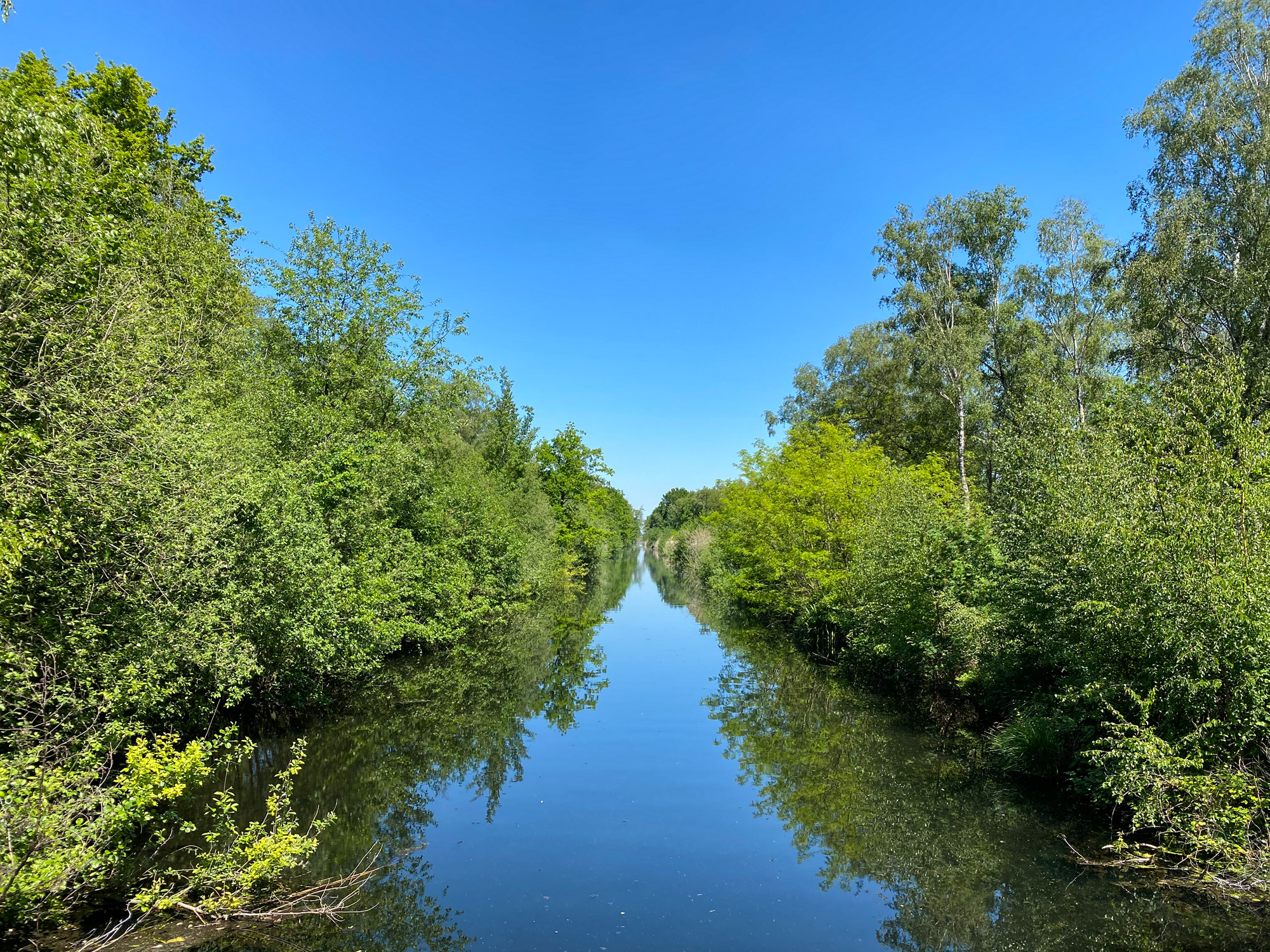 Wandelen in Noord-Brabant en Limburg: Rondje Griendtsveen