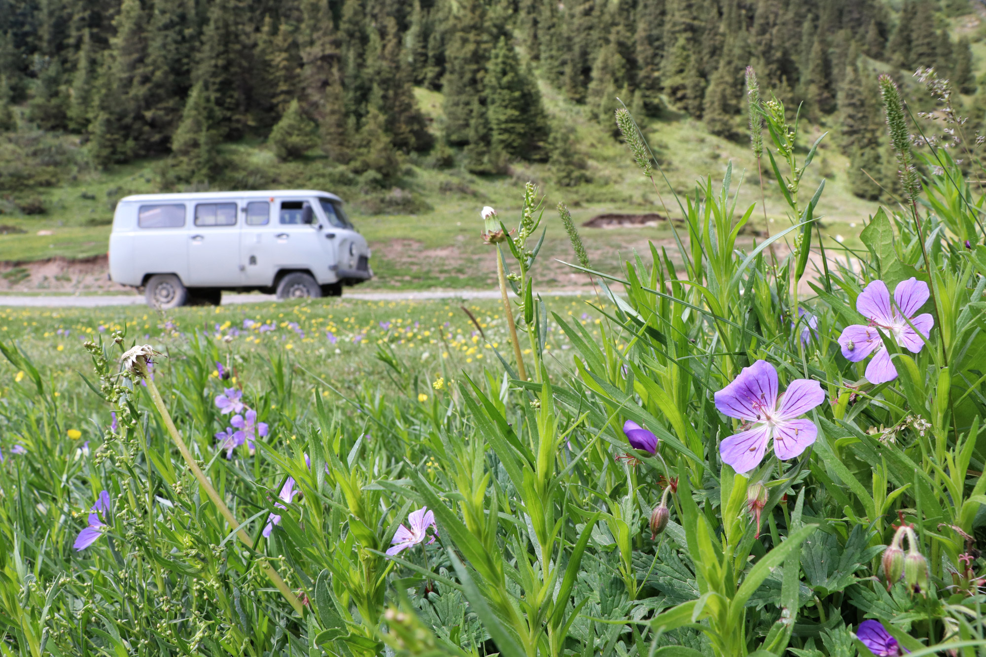 Mijn avontuurlijke roadtrip door Kirgizië met De Verdwaalde Jongens