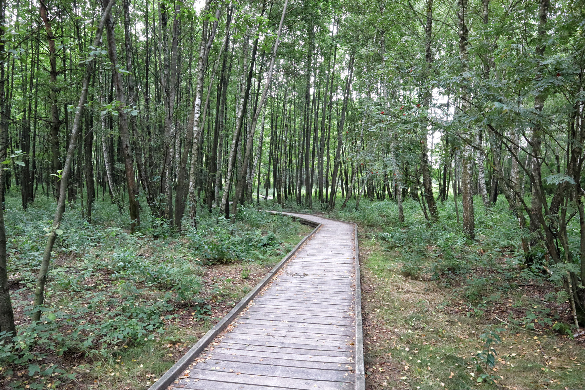 Lubelskie regio - Poleski Nationaal Park