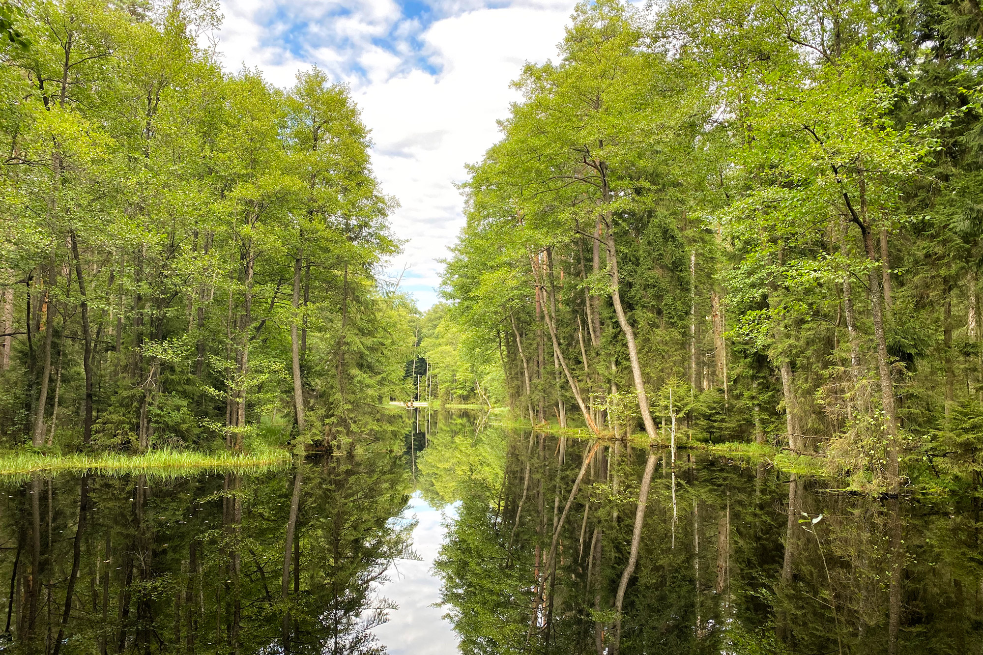 Lubelskie regio - Roztoczanski Nationaal Park