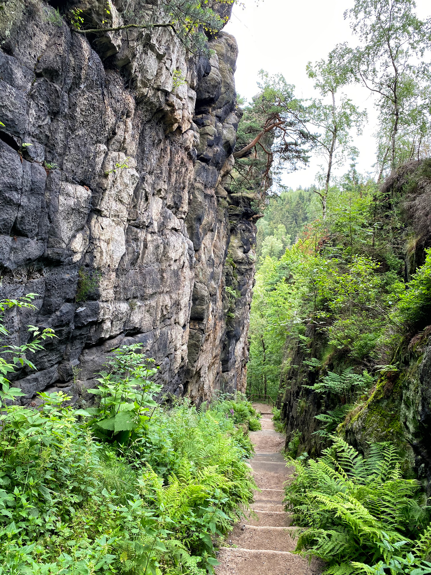 Wandelen in Tsjechië en Duitsland: Nonnenfelsen en naar de top van de Lausche