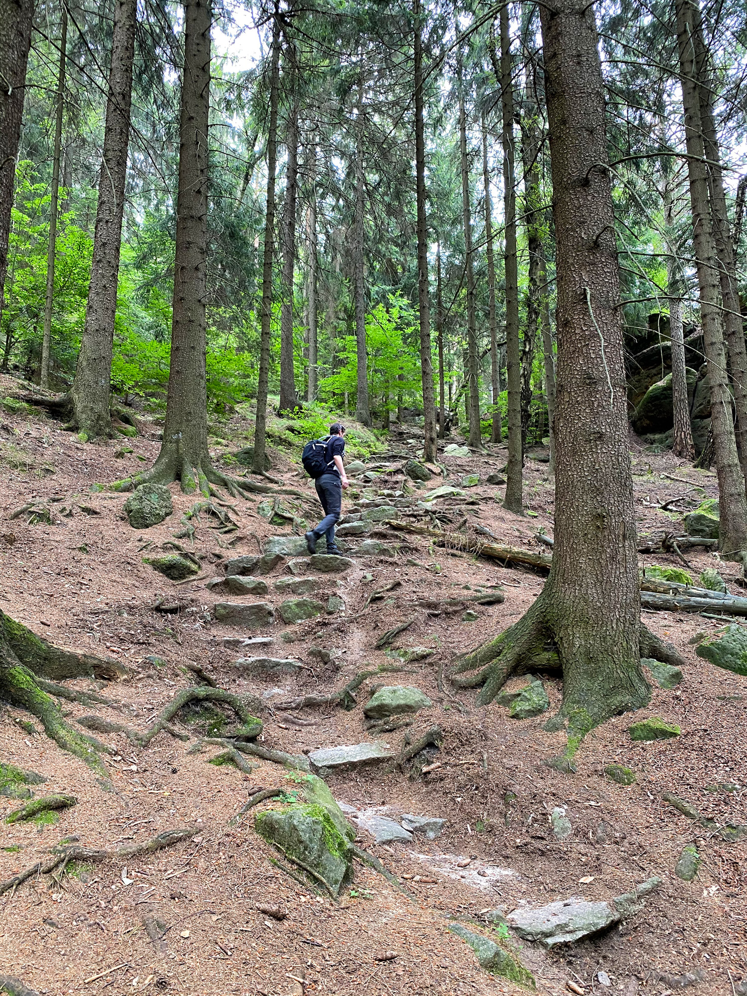 Wandelen in Tsjechië en Duitsland: Nonnenfelsen en naar de top van de Lausche