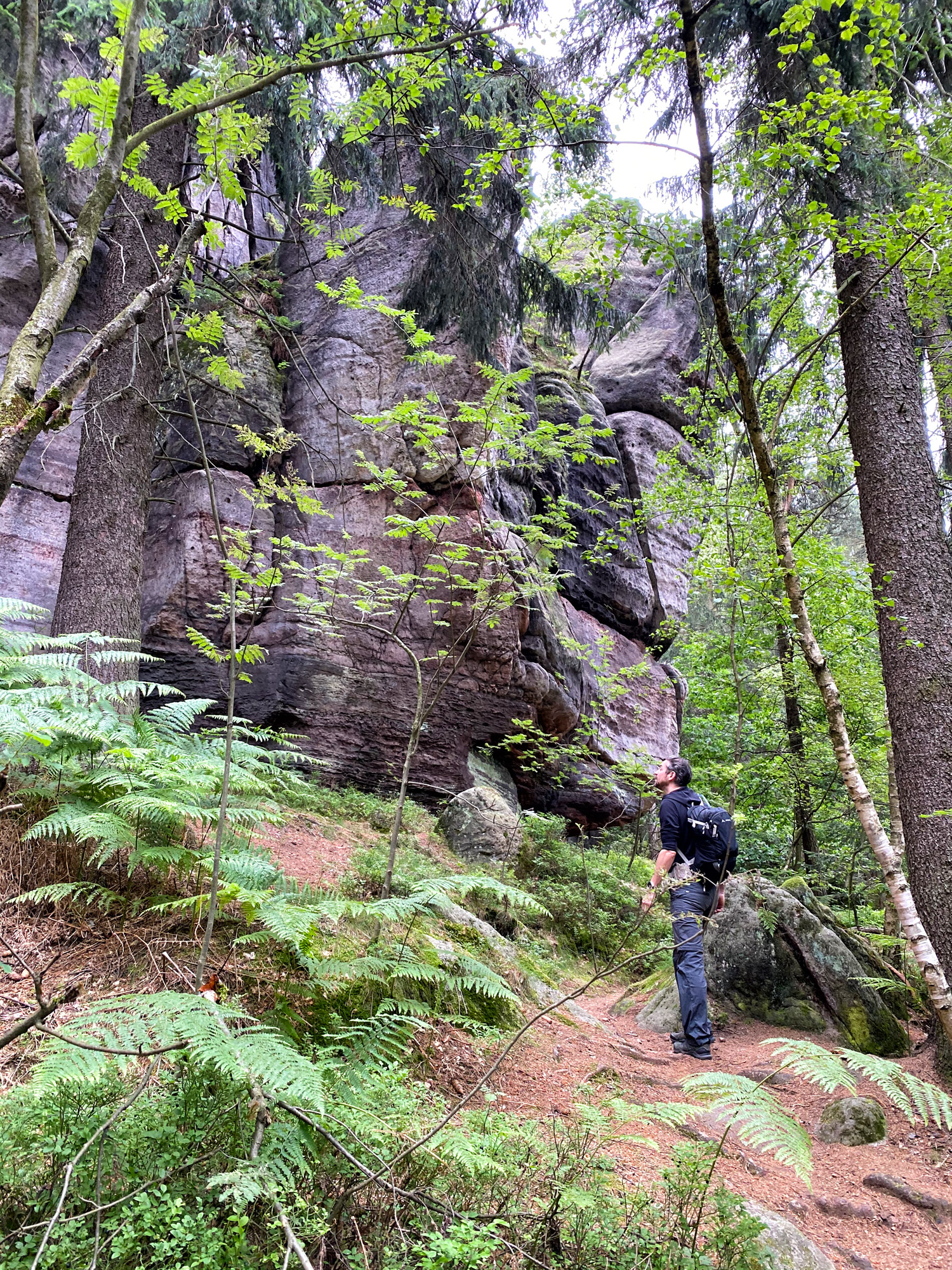 Wandelen in Tsjechië en Duitsland: Nonnenfelsen en naar de top van de Lausche