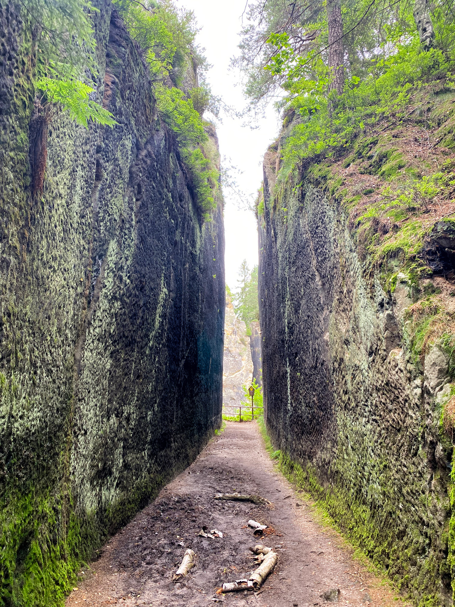 Wandelen in Tsjechië en Duitsland: Nonnenfelsen en naar de top van de Lausche