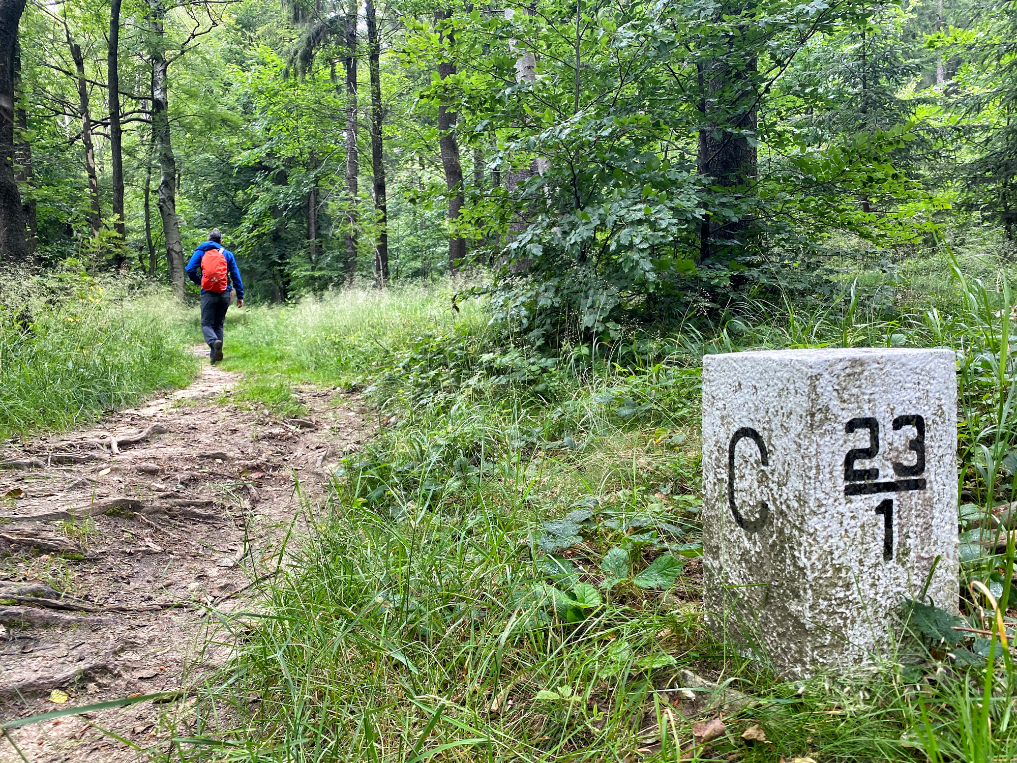 Wandelen in Tsjechië en Duitsland: Nonnenfelsen en naar de top van de Lausche