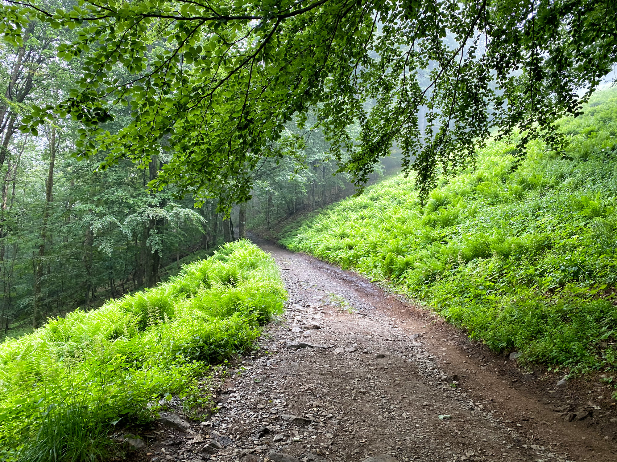 Wandelen in Tsjechië en Duitsland: Nonnenfelsen en naar de top van de Lausche