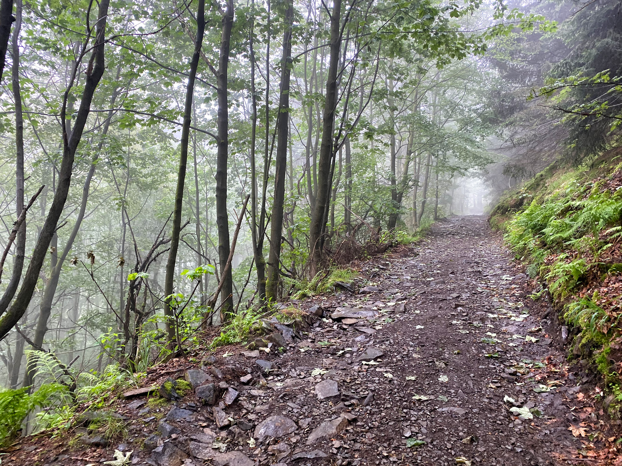 Wandelen in Tsjechië en Duitsland: Nonnenfelsen en naar de top van de Lausche