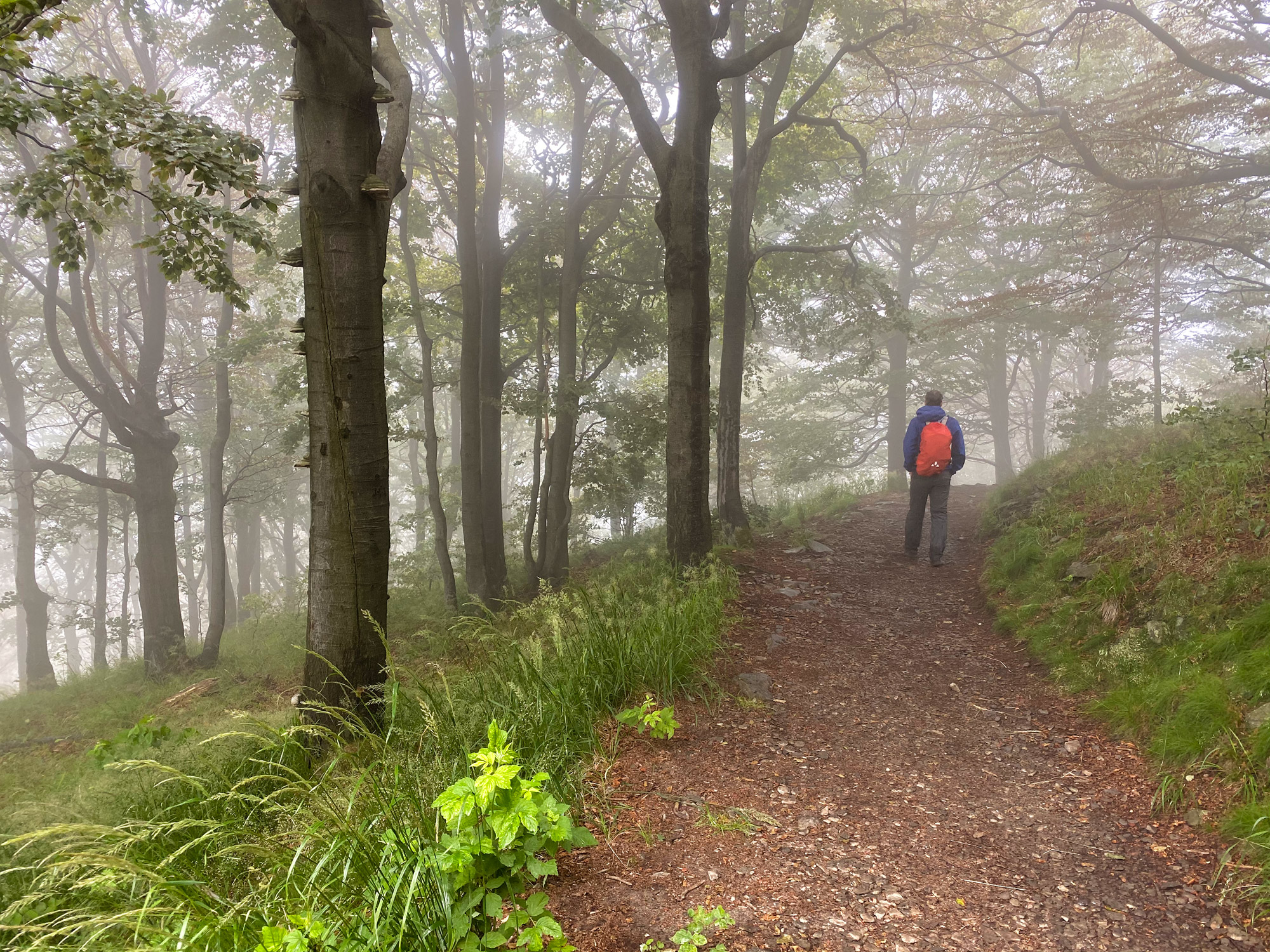 Wandelen in Tsjechië en Duitsland: Nonnenfelsen en naar de top van de Lausche