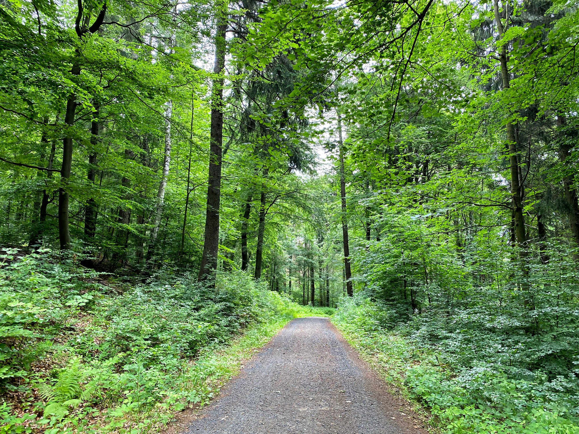 Wandelen in Tsjechië en Duitsland: Nonnenfelsen en naar de top van de Lausche