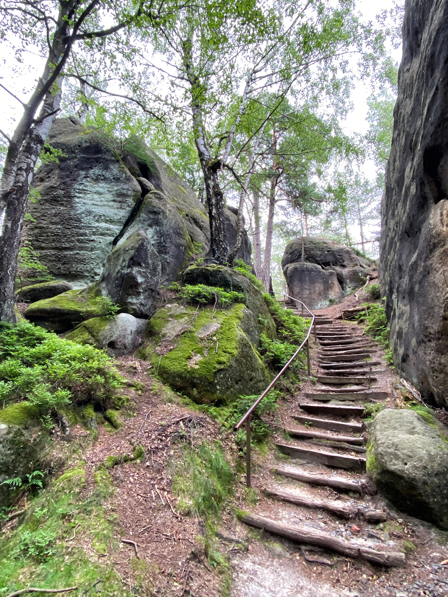 Wandelen in Tsjechië en Duitsland: Nonnenfelsen en naar de top van de Lausche