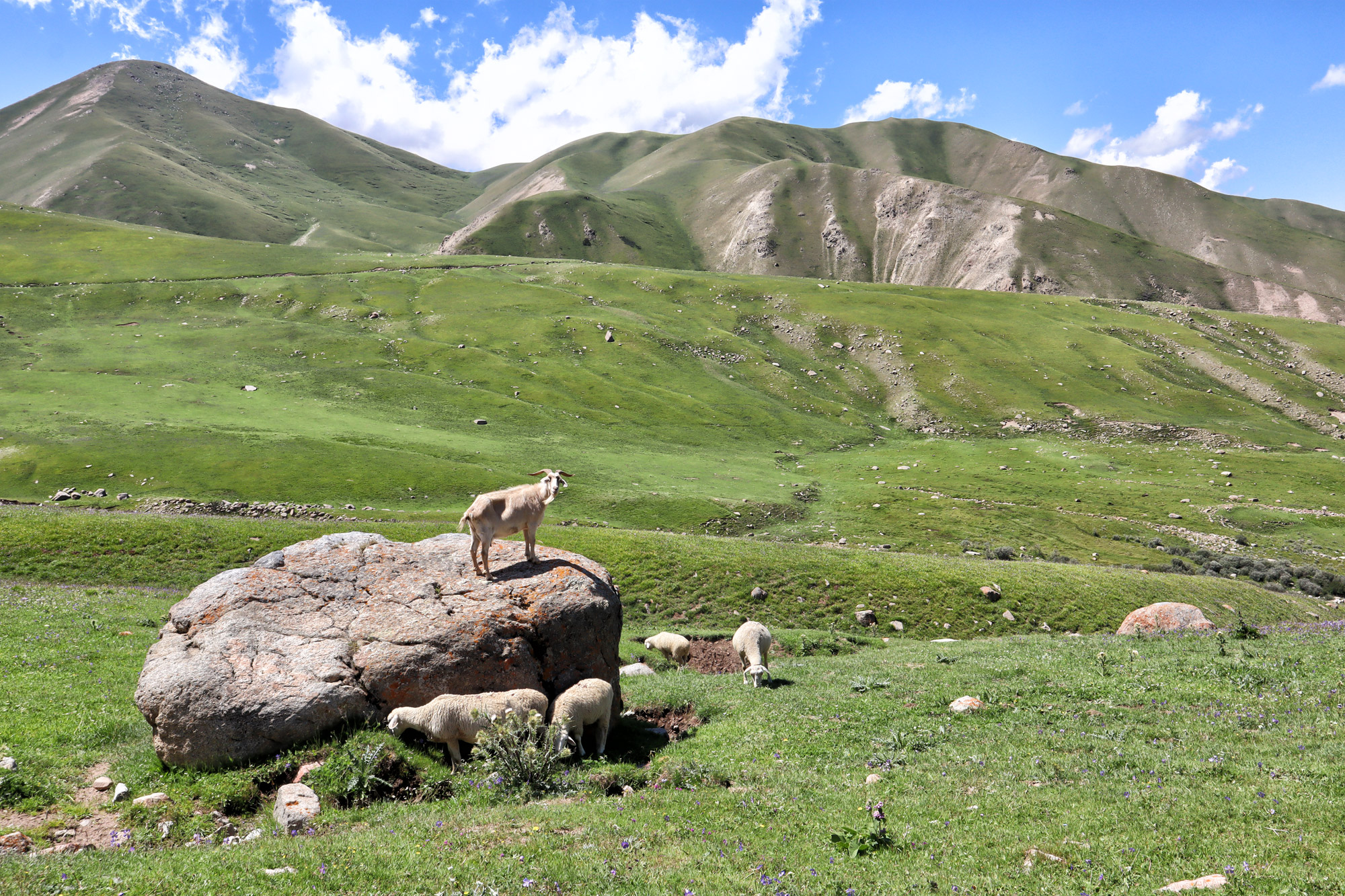 Reisroute Kirgizië - Tosor Pass