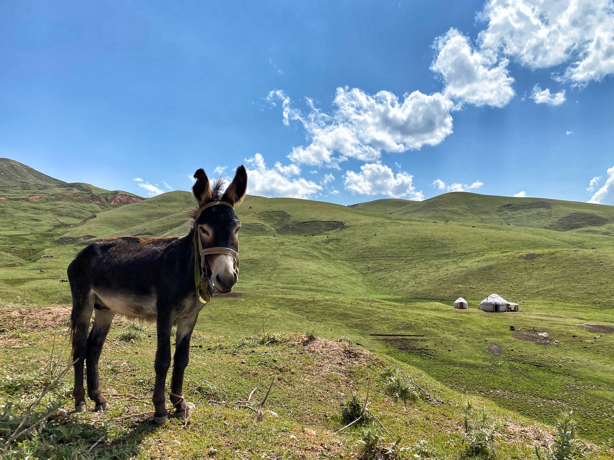 Reisroute Kirgizië - Pamir Highway