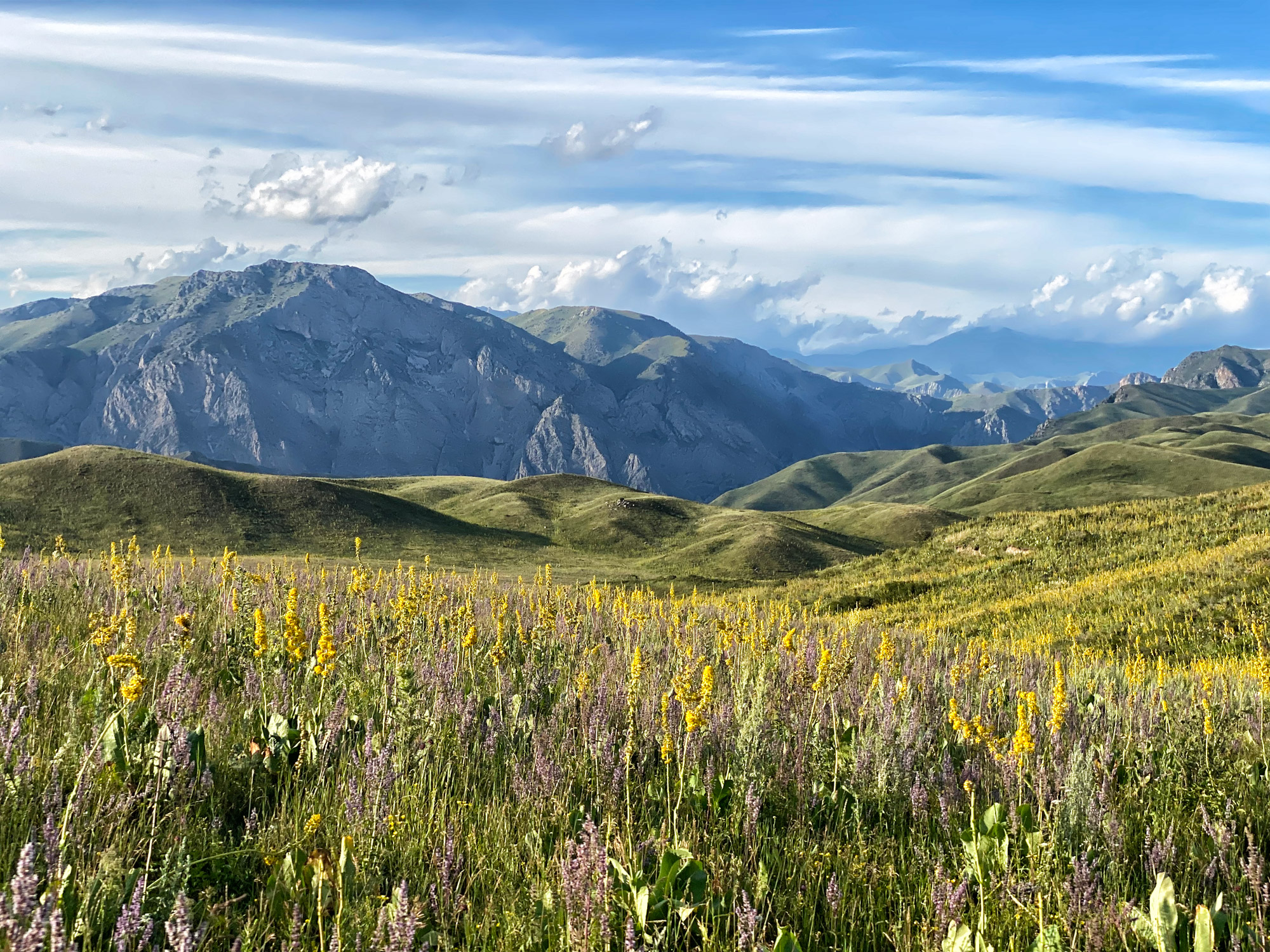 Reisroute Kirgizië - Kaldamo Pass