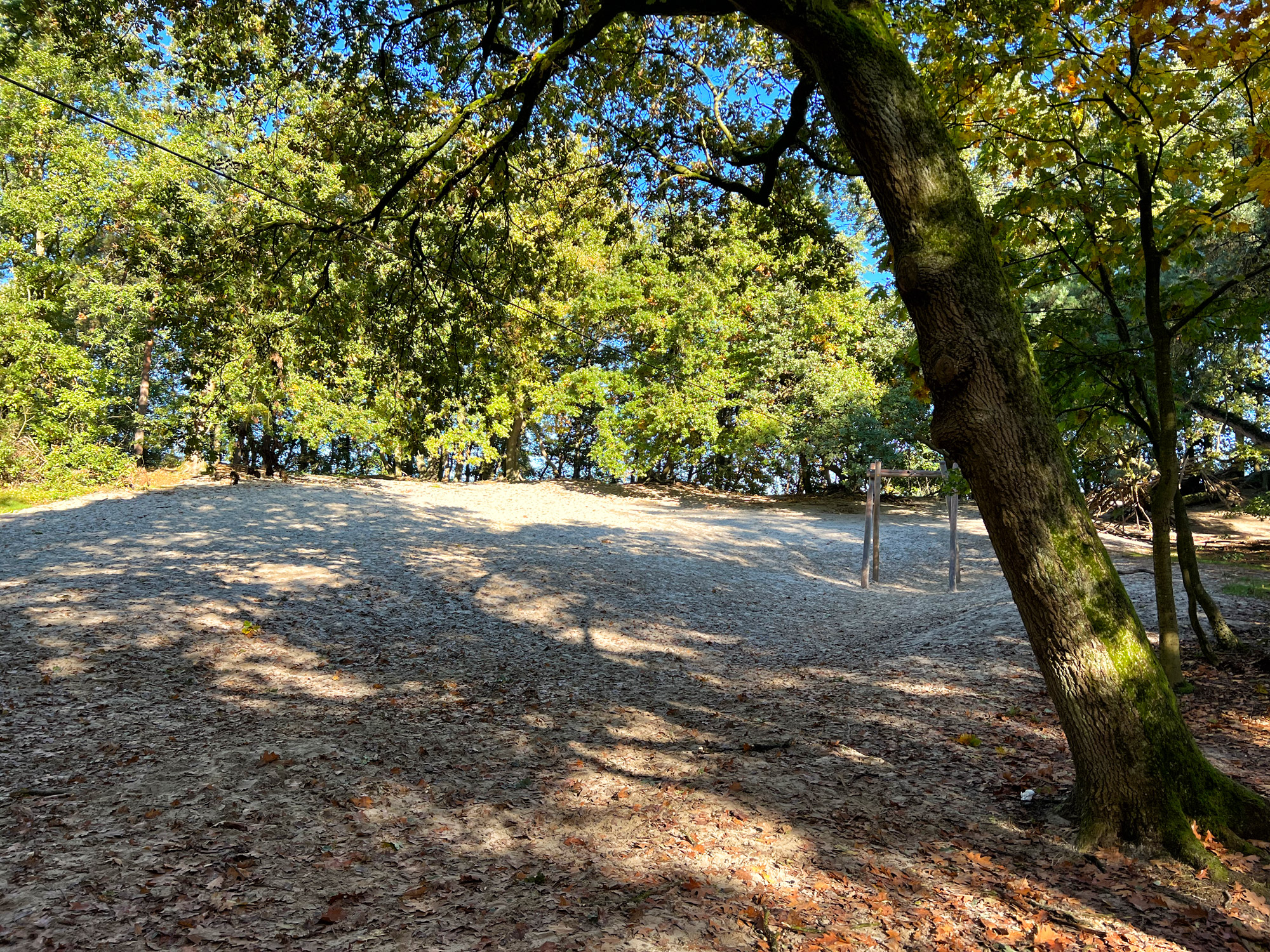 Wandelen in Limburg: 101 heuveltjes in de Heldense Bossen