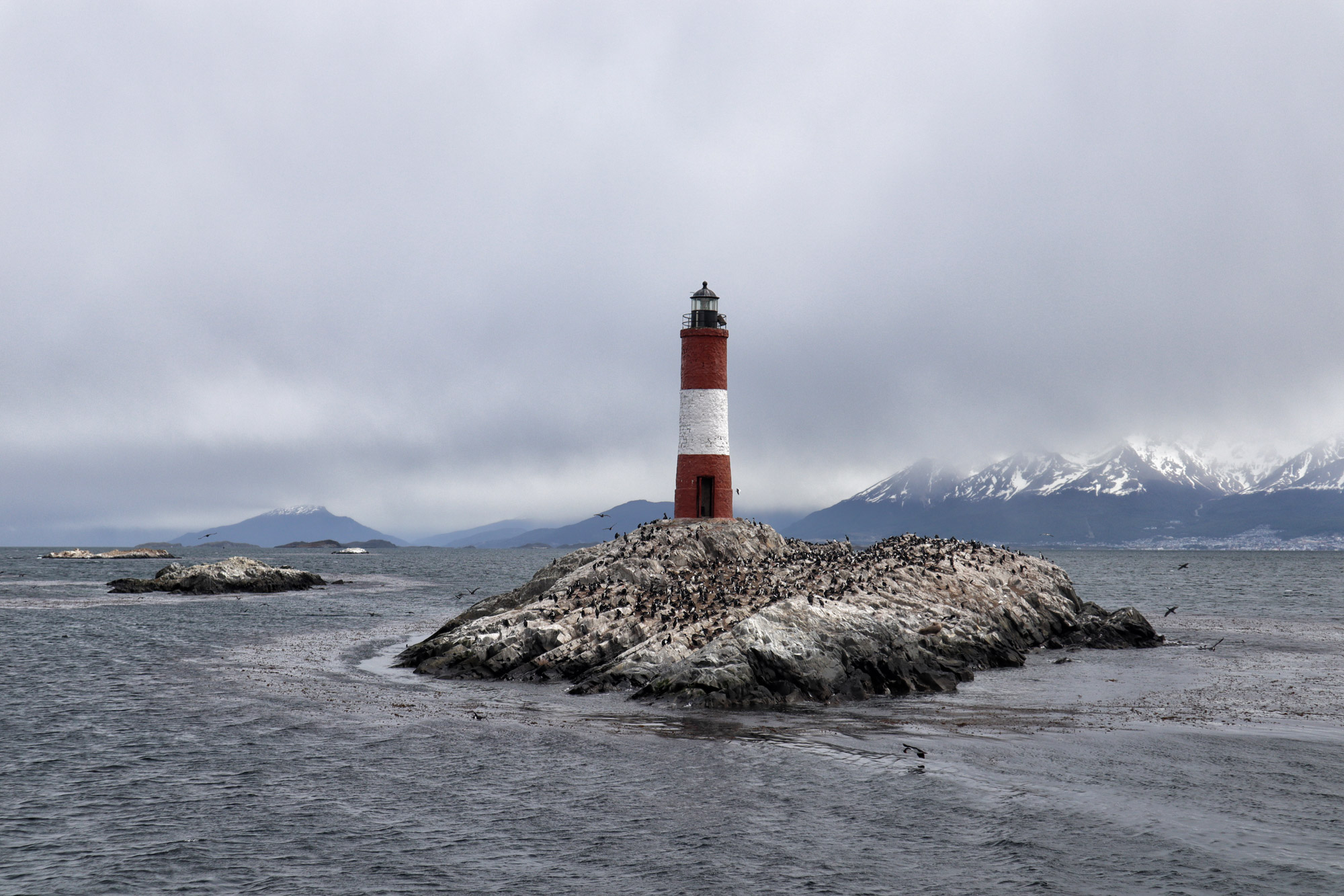 Dagtrip vanuit Ushuaia - Estancia Harberton en Isla Martillo - Faro Les Eclaireurs