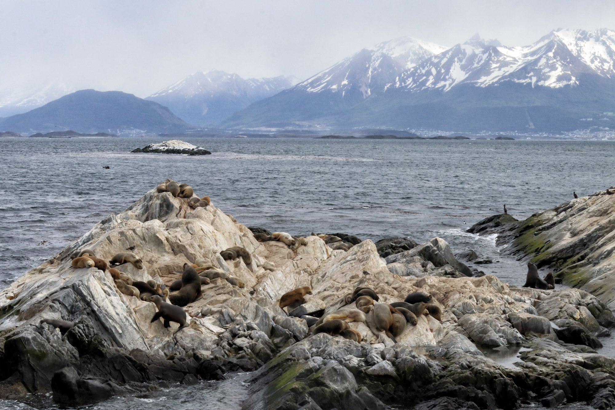 Dagtrip vanuit Ushuaia - Estancia Harberton en Isla Martillo - Beaglekanaal