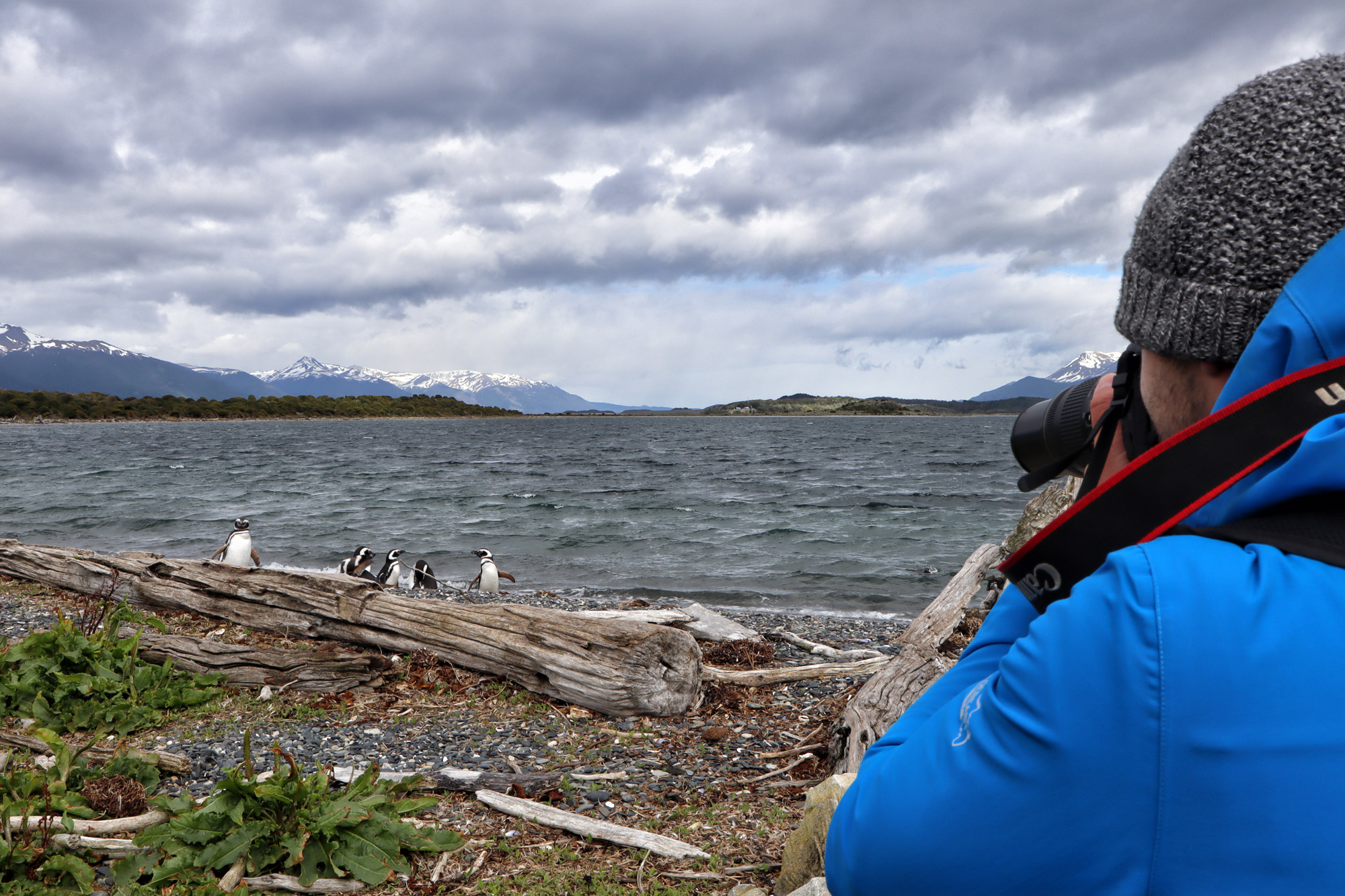 Dagtrip vanuit Ushuaia - Estancia Harberton en Isla Martillo - Isla Martillo