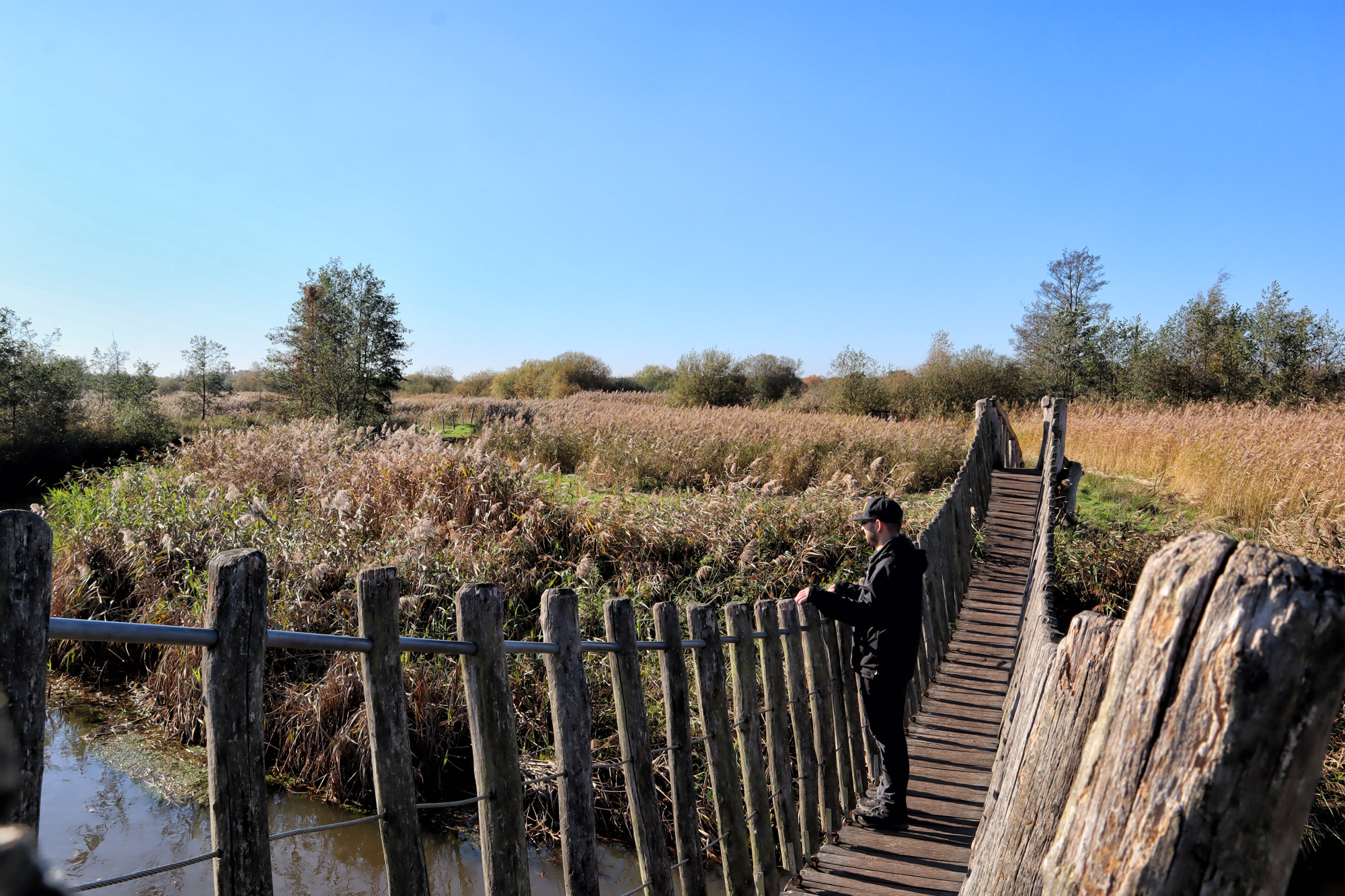 Wandelen in Nederland/België: Twee landen pad bij de Plateaux en Hageven