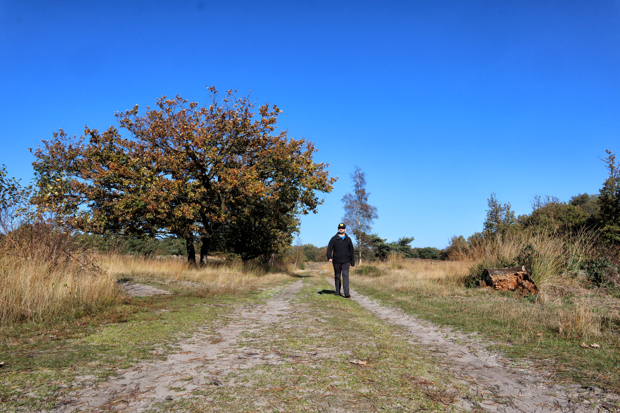 Wandelen in Nederland/België: Twee landen pad bij de Plateaux en Hageven