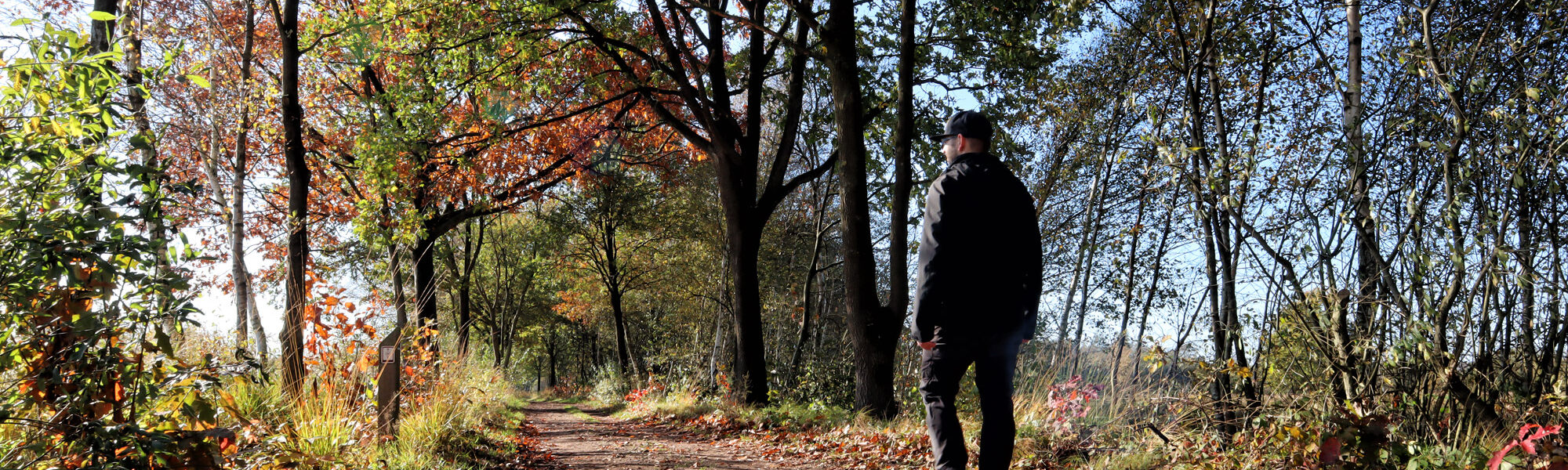 Wandelen in Nederland/België: Twee landen pad bij de Plateaux en Hageven