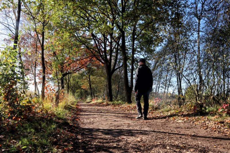 Wandelen in Nederland/België: Twee landen pad bij de Plateaux en Hageven