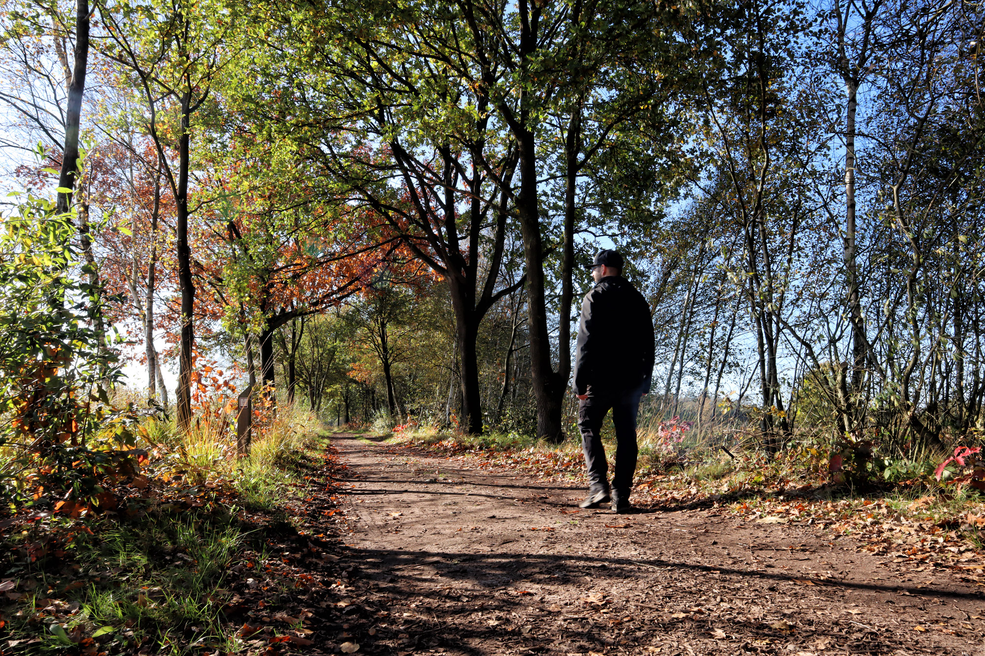 Wandelen in Nederland/België: Twee landen pad bij de Plateaux en Hageven