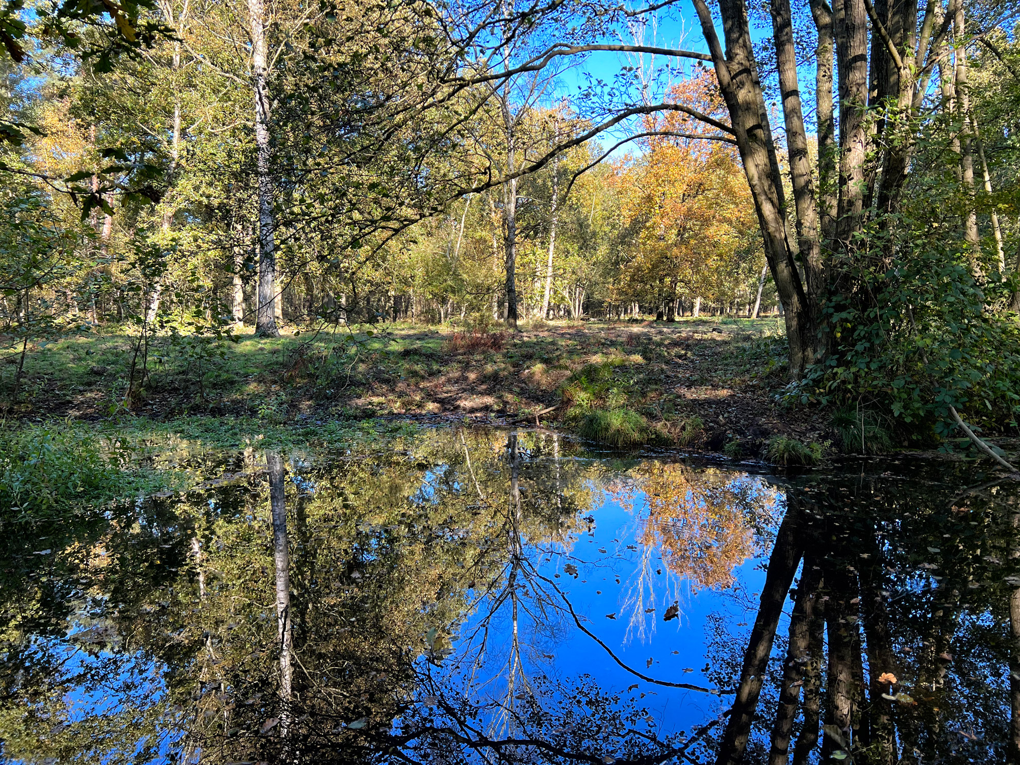 Wandelen in Nederland/België: Twee landen pad bij de Plateaux en Hageven