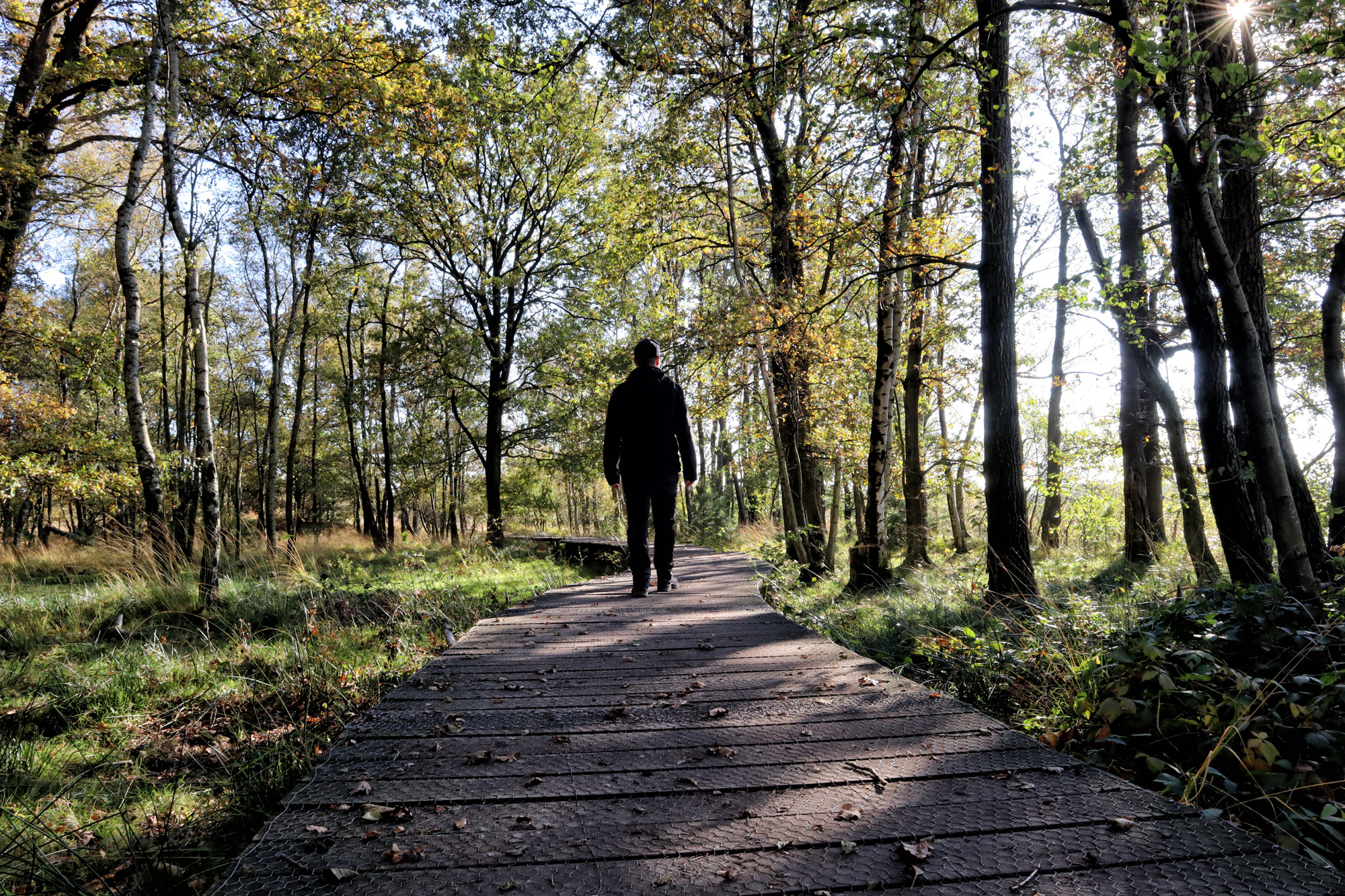 Wandelen in Nederland/België: Twee landen pad bij de Plateaux en Hageven