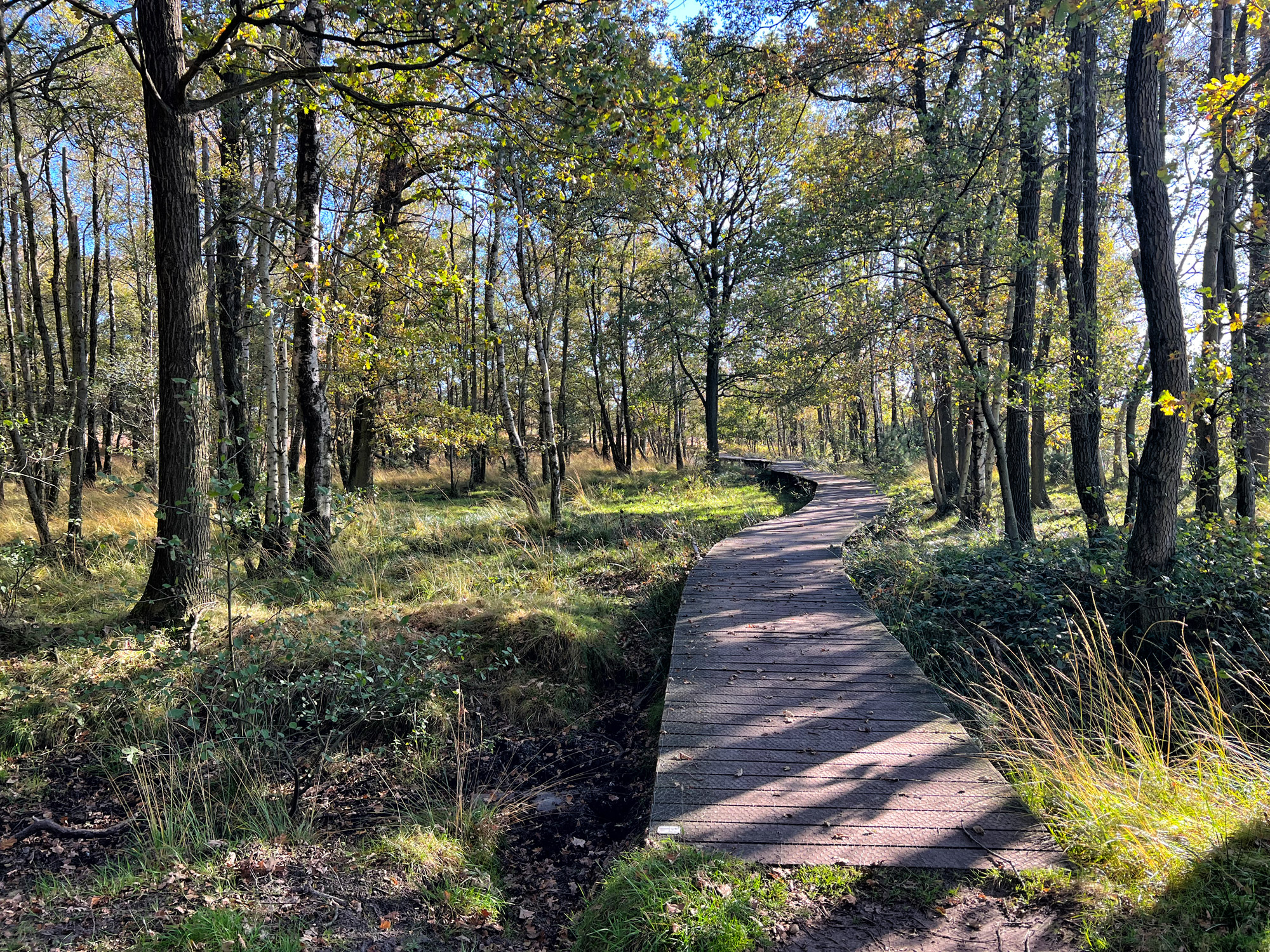 Wandelen in Nederland/België: Twee landen pad bij de Plateaux en Hageven