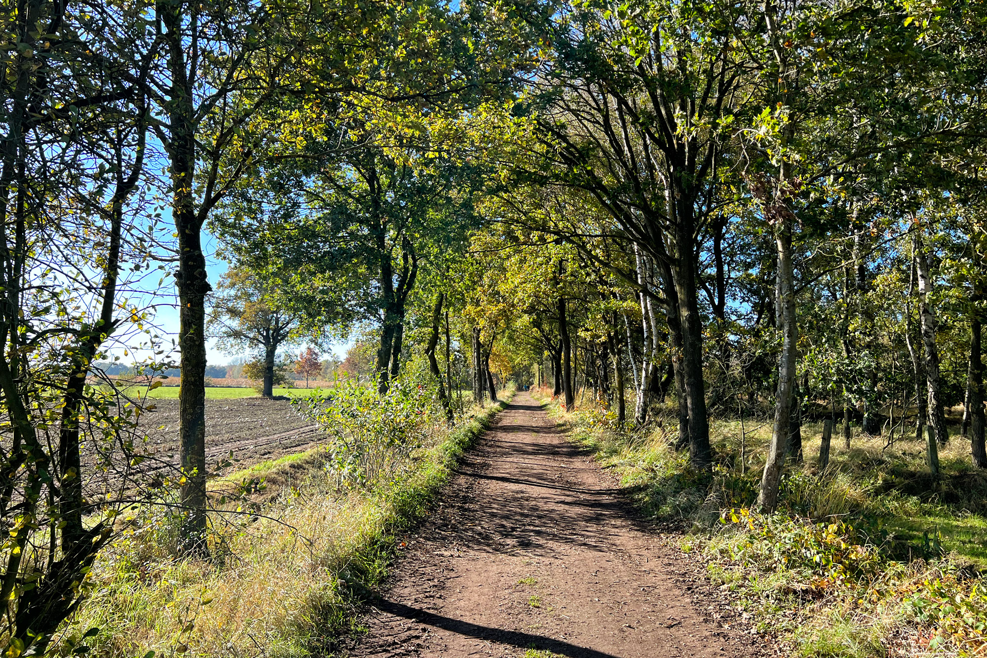 Wandelen in Nederland/België: Twee landen pad bij de Plateaux en Hageven