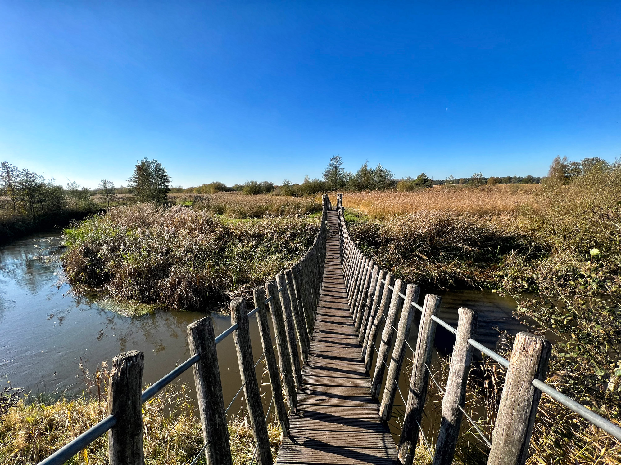 Wandelen in Nederland/België: Twee landen pad bij de Plateaux en Hageven