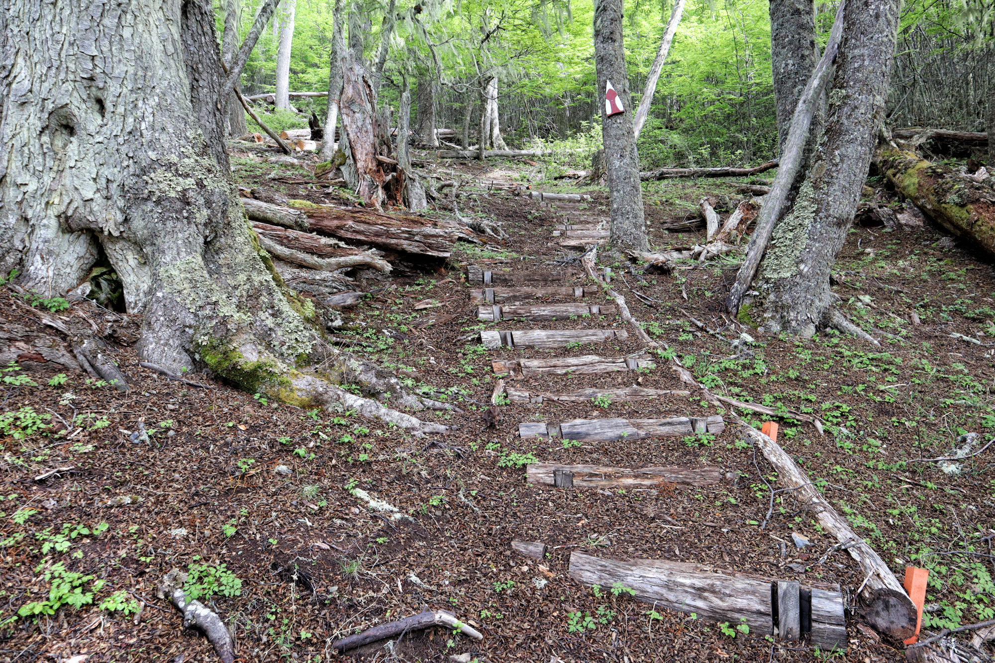 Wandelen in Patagonië: Sendero Pietro Grande