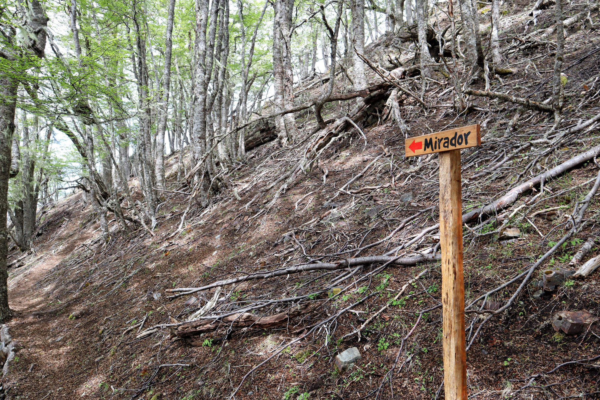 Wandelen in Patagonië: Sendero Pietro Grande