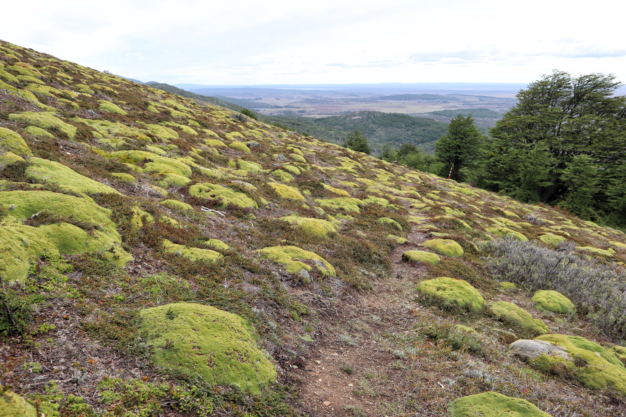 Wandelen in Patagonië: Sendero Pietro Grande