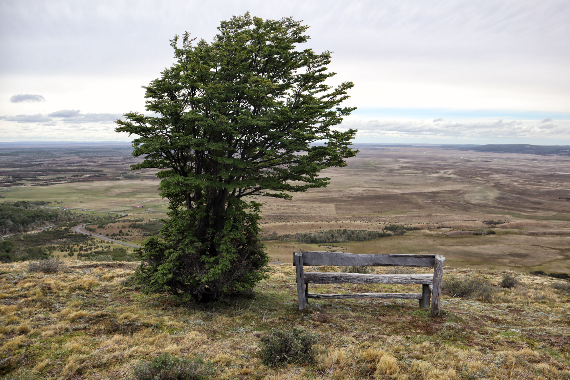 Wandelen in Patagonië: Sendero Pietro Grande