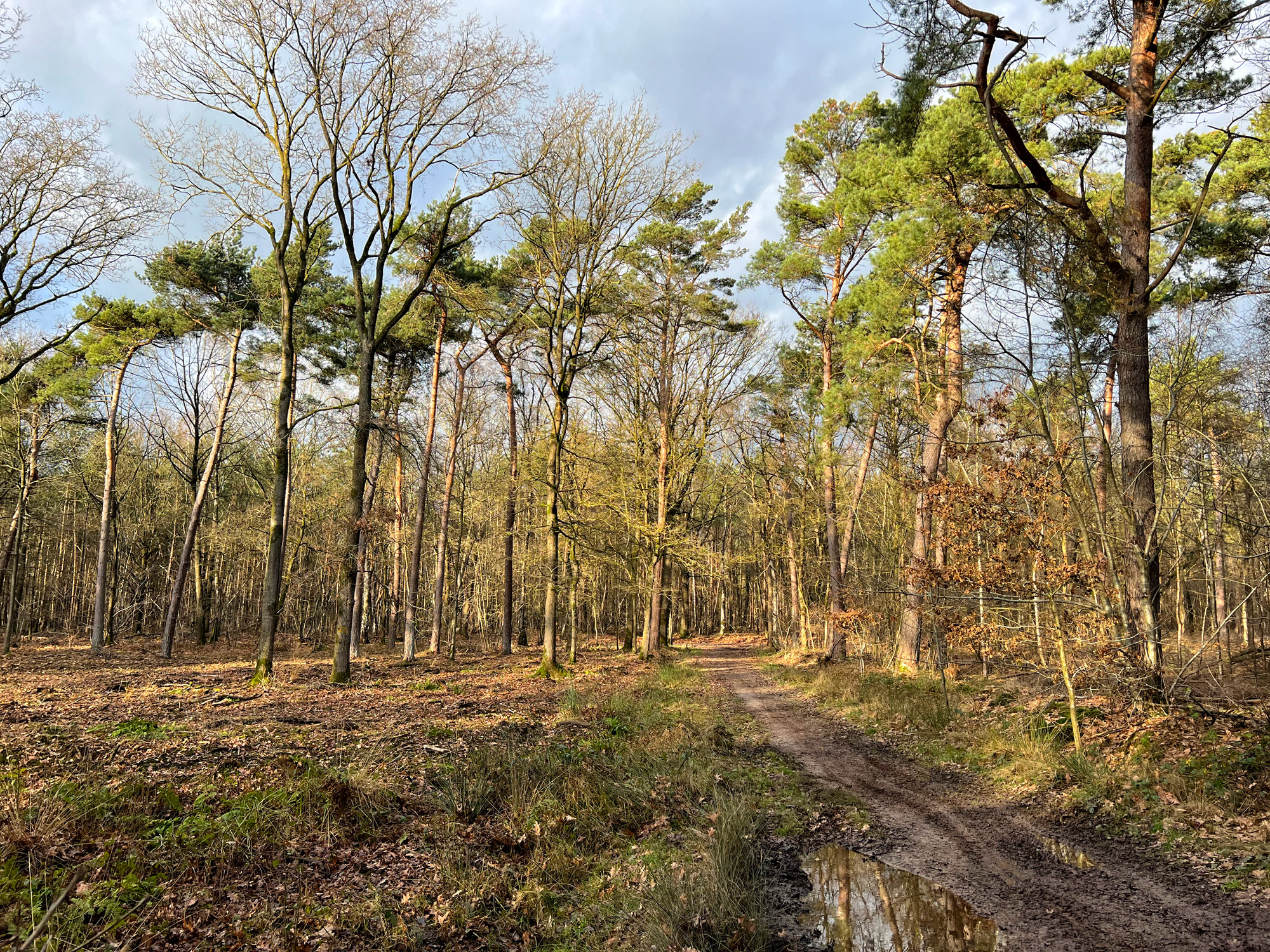 Wandelen in Noord-Brabant: Rondje Groot- en Kleinmeer