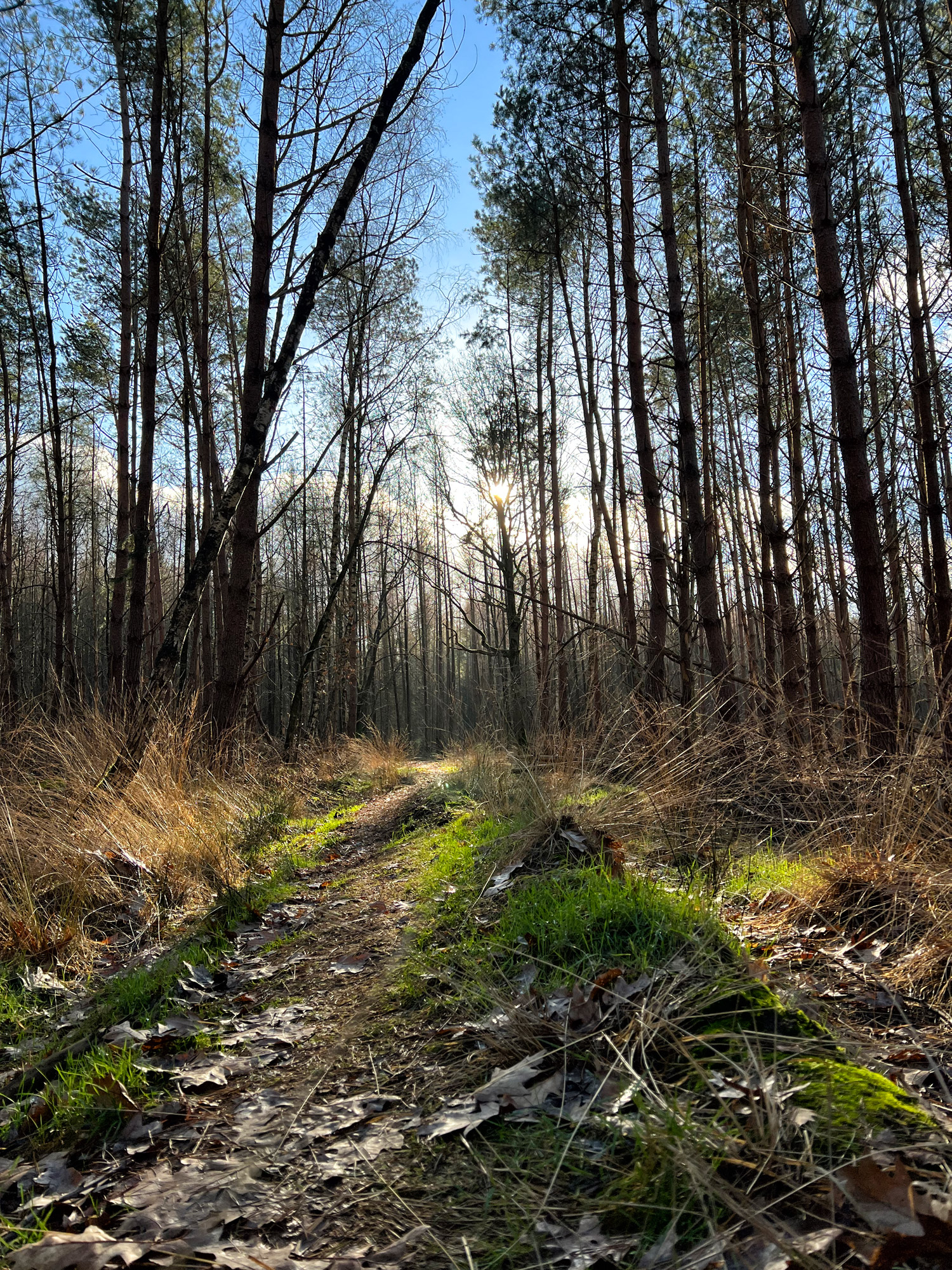 Wandelen in Noord-Brabant: Rondje Groot- en Kleinmeer