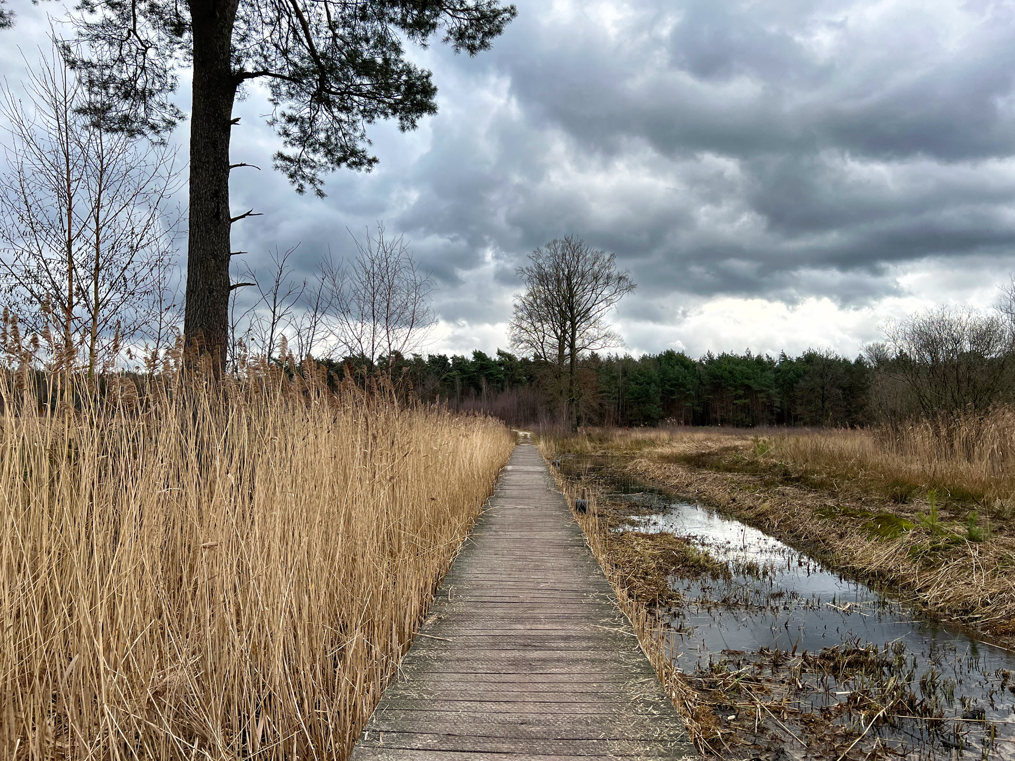 Wandelen in Noord-Brabant: Rondje Groot- en Kleinmeer