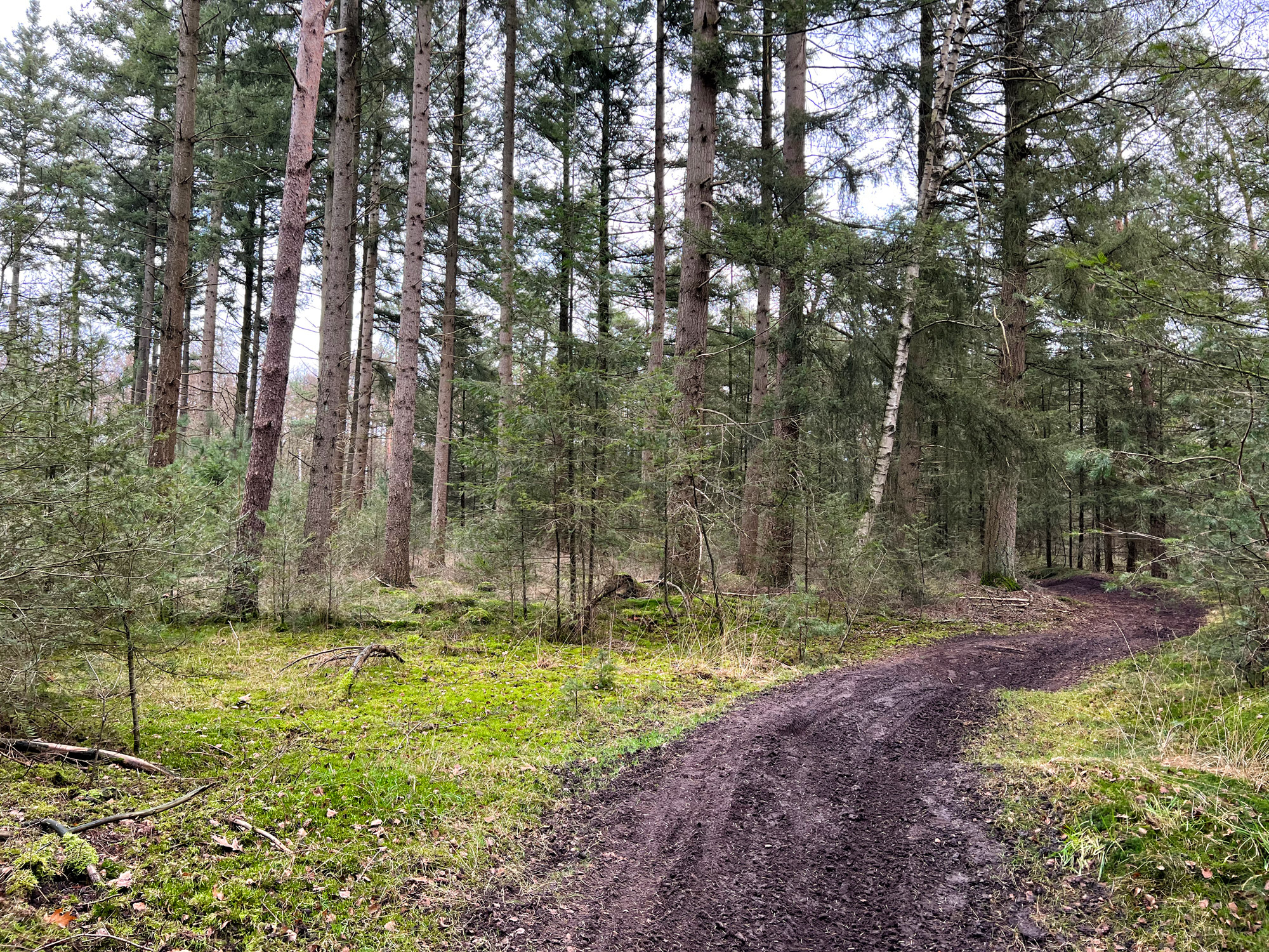 Wandelen in Noord-Brabant: Rondje Groot- en Kleinmeer