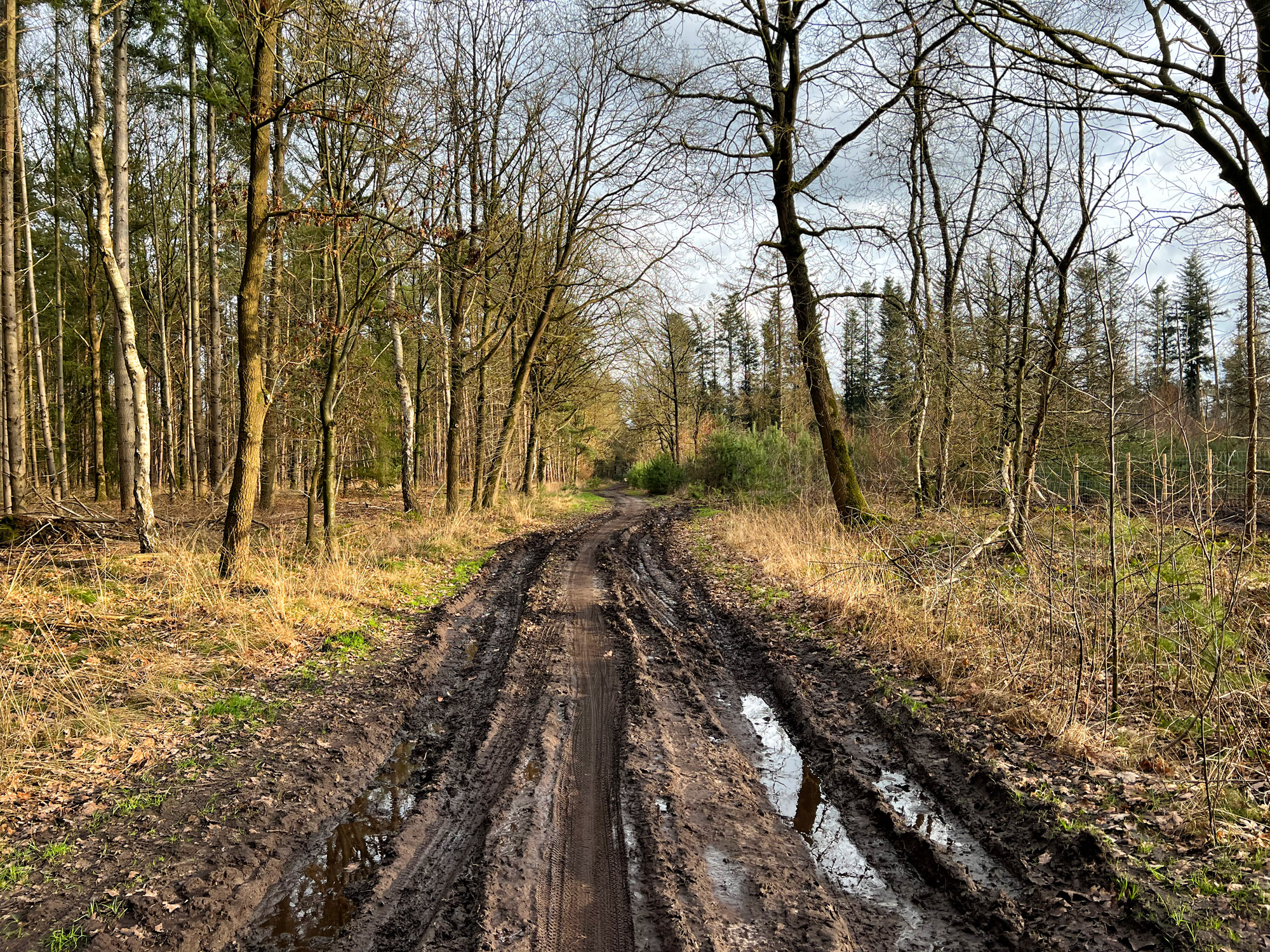 Wandelen in Noord-Brabant: Rondje Groot- en Kleinmeer