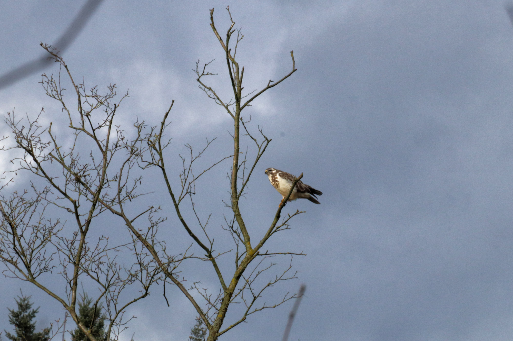 Wandelen in Noord-Brabant: Rondje Groot- en Kleinmeer