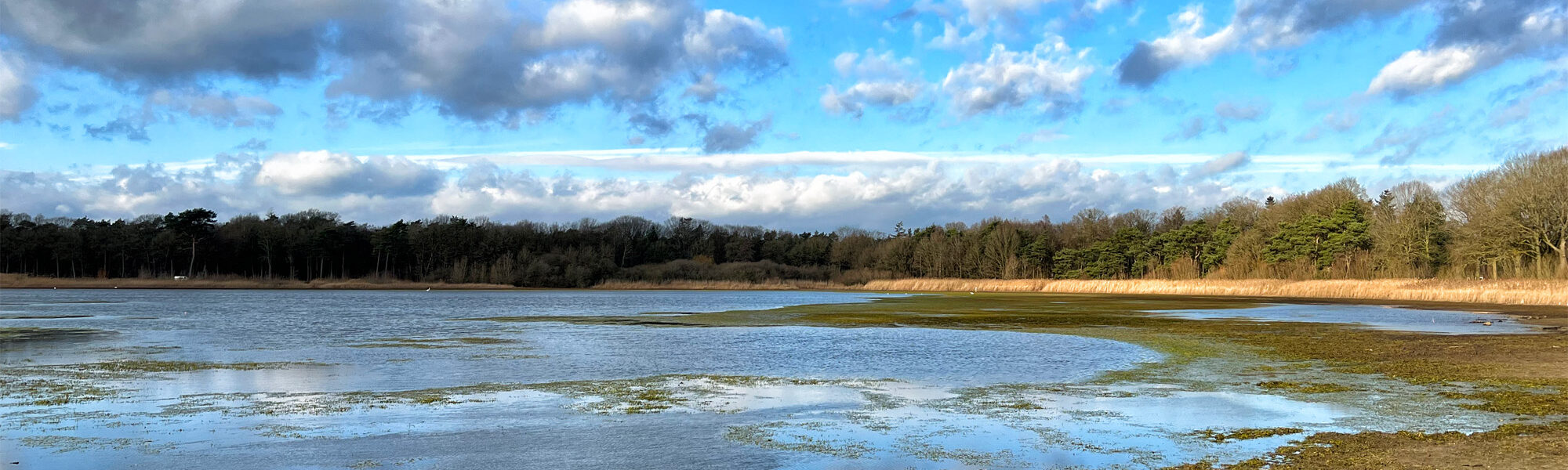 Wandelen in Noord-Brabant: Rondje Groot- en Kleinmeer