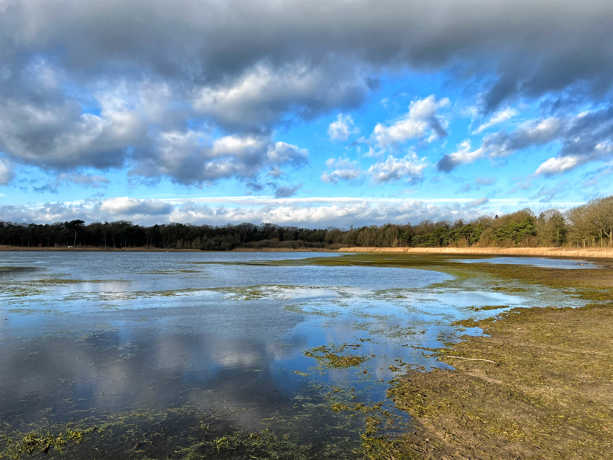 Wandelen in Noord-Brabant: Rondje Groot- en Kleinmeer