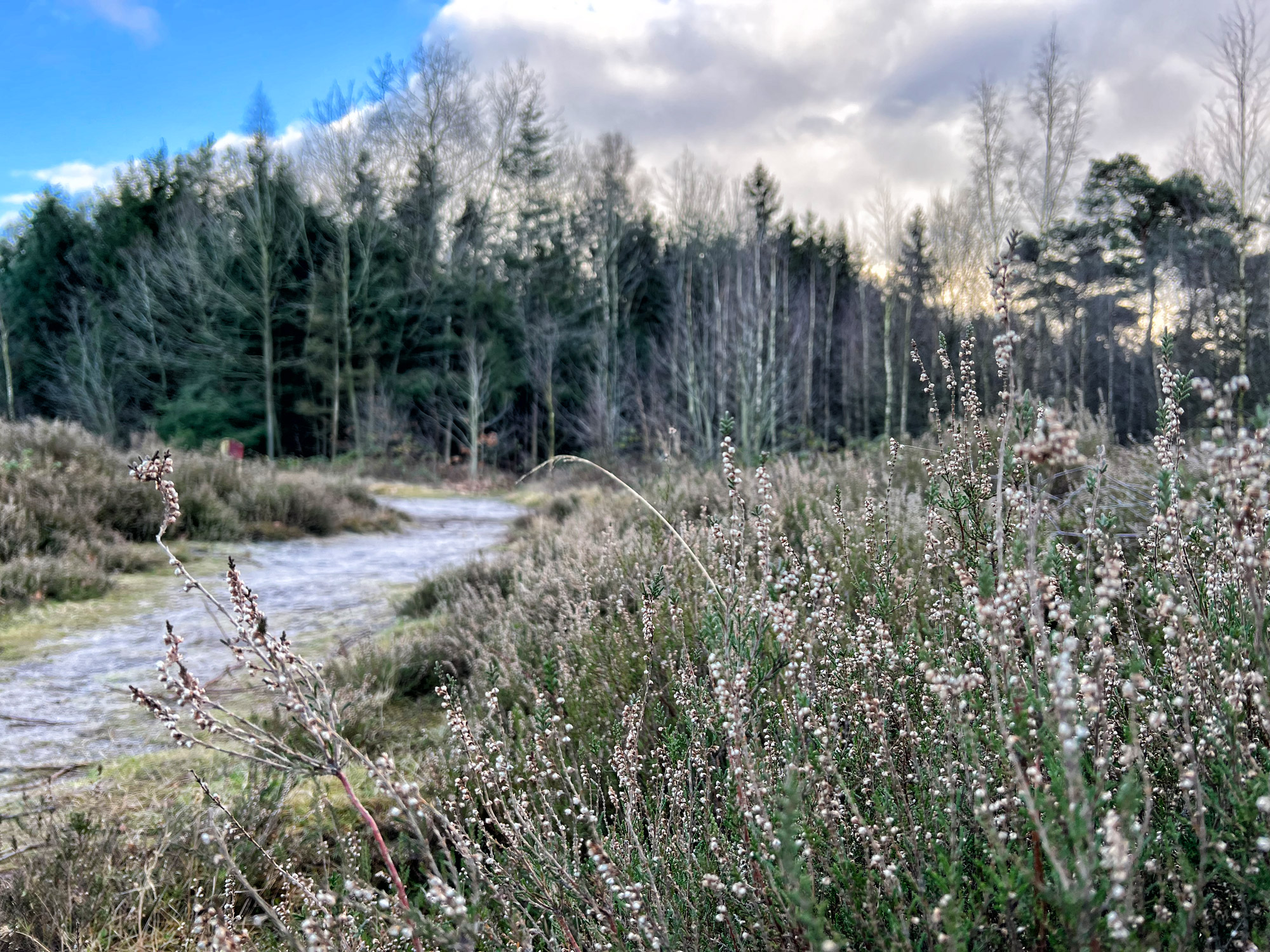 Wandelen in Noord-Brabant: Rondje Groot- en Kleinmeer