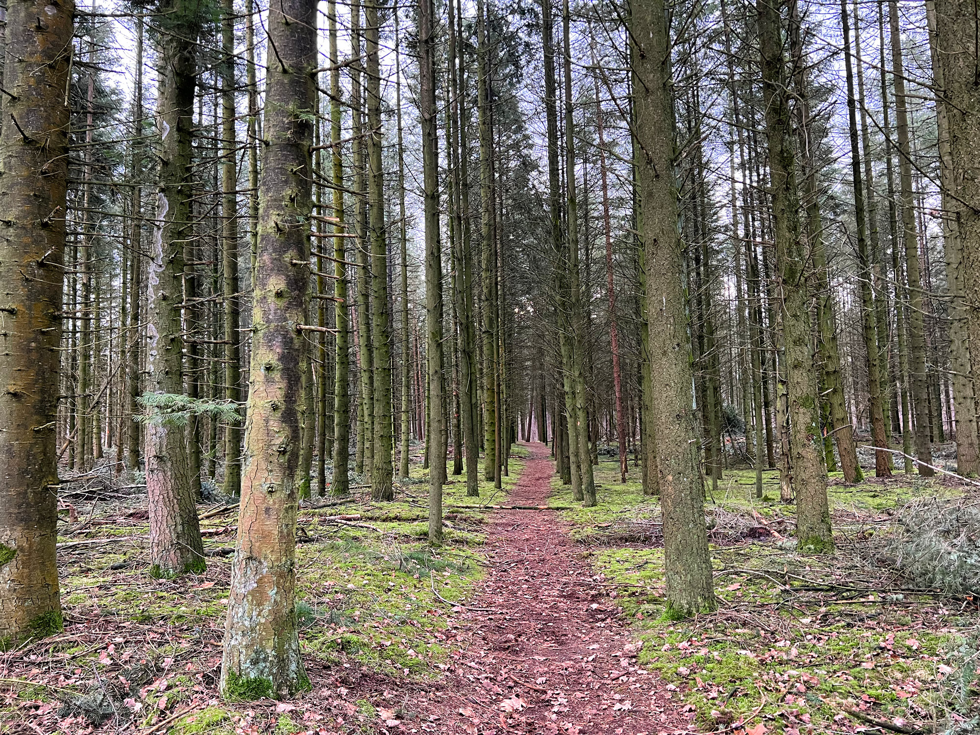 Wandelen in Noord-Brabant: Rondje Groot- en Kleinmeer