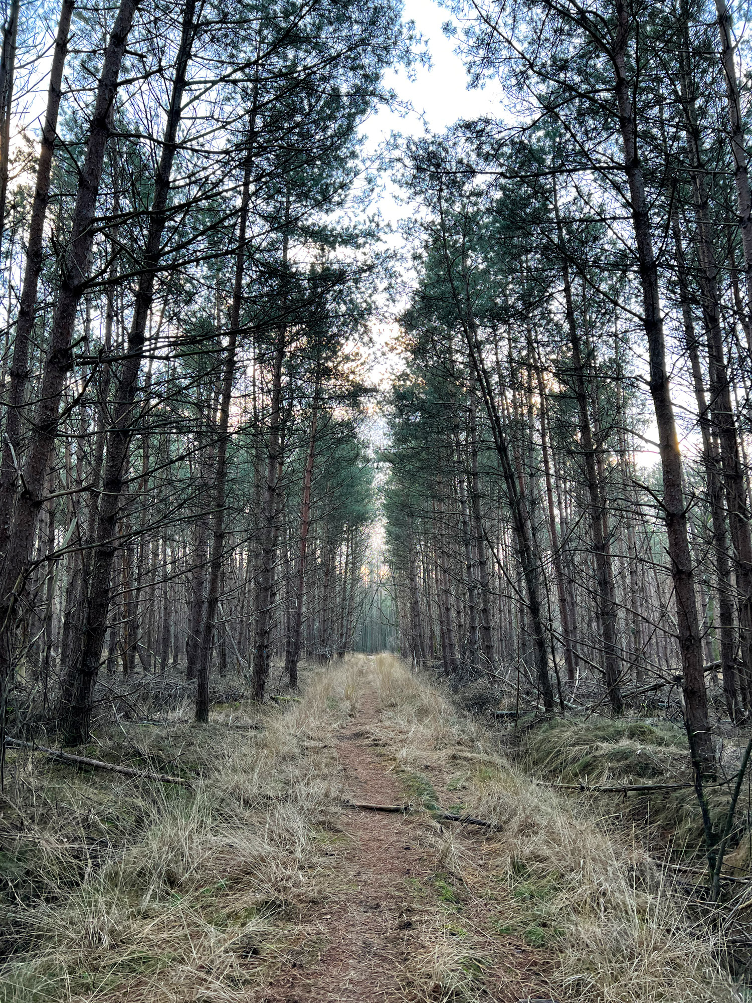 Wandelen in Noord-Brabant: Rondje Groot- en Kleinmeer