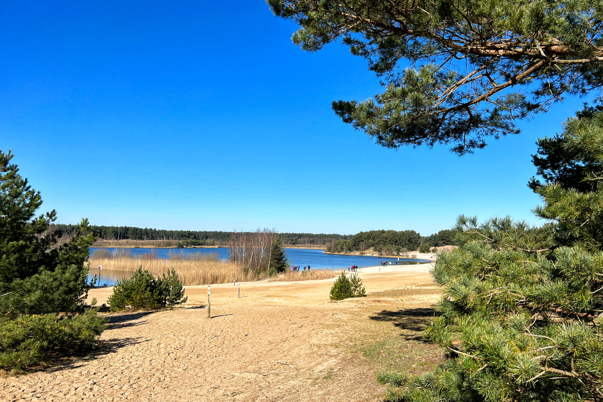 Wandelen in België: Lommelse Sahara