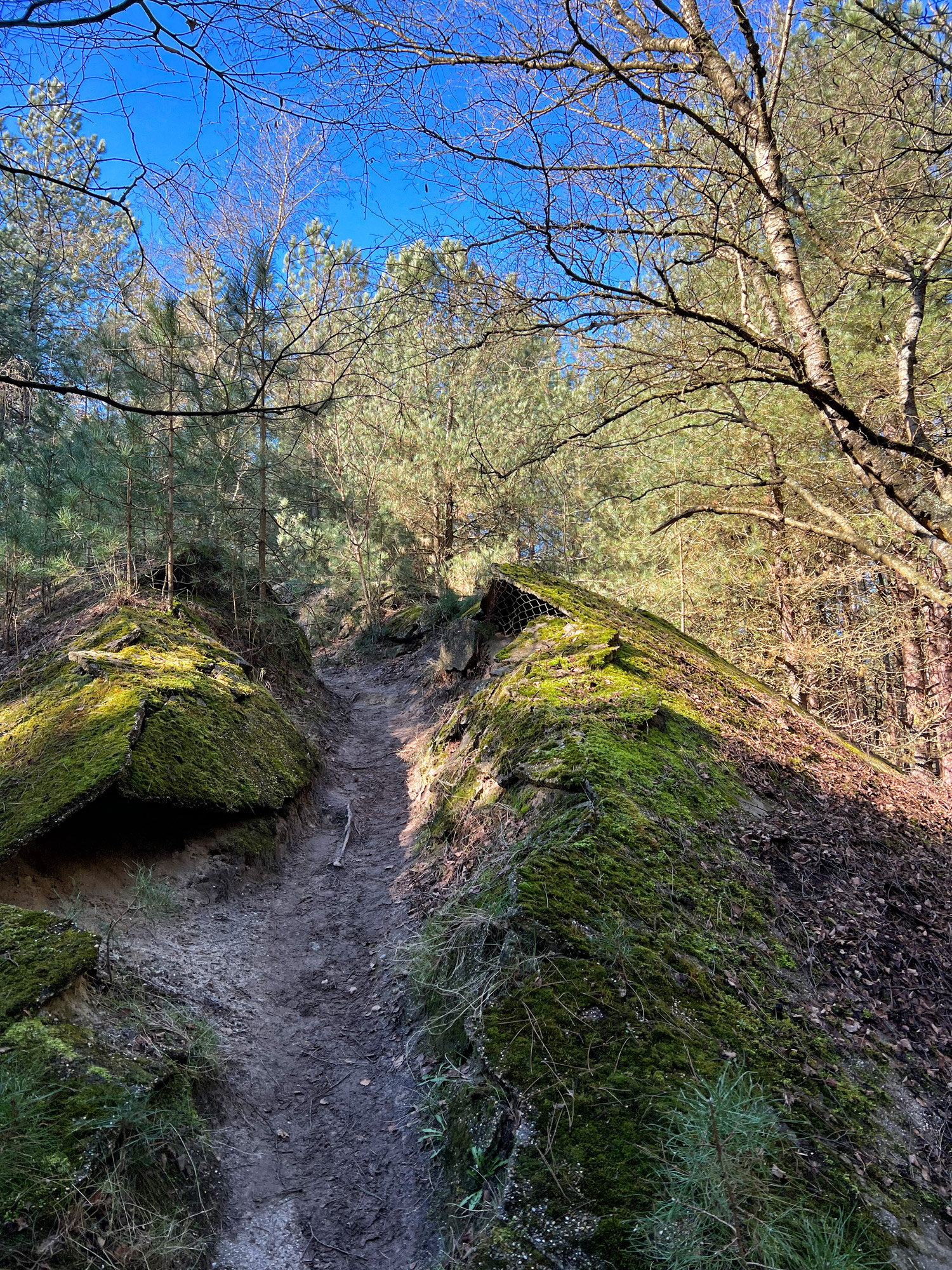 Wandelen in België: Lommelse Sahara